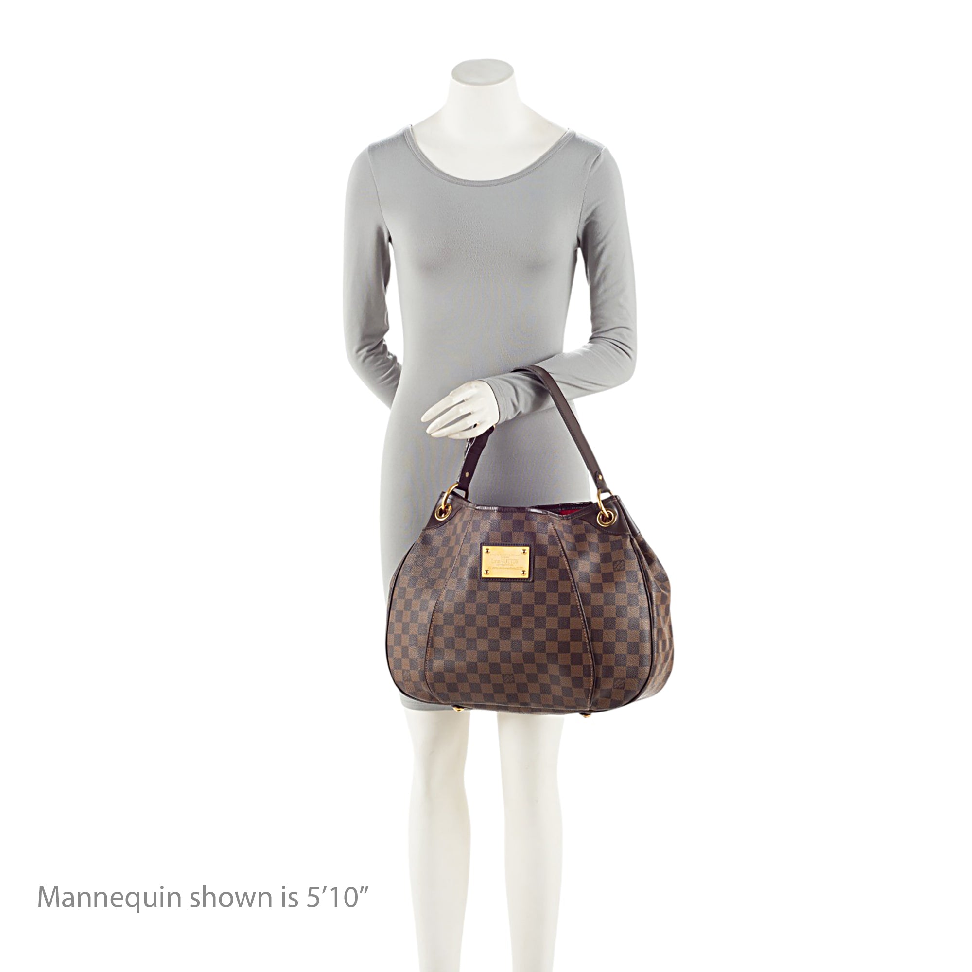 Louis Vuitton Damier Ebene Galliera PM Shoulder Bag