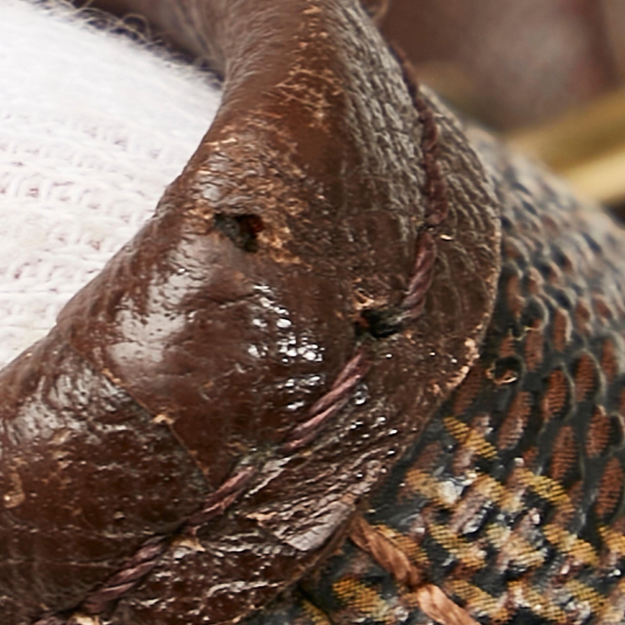 Louis Vuitton Damier Ebene Marais (SHG-Xjbvbk)