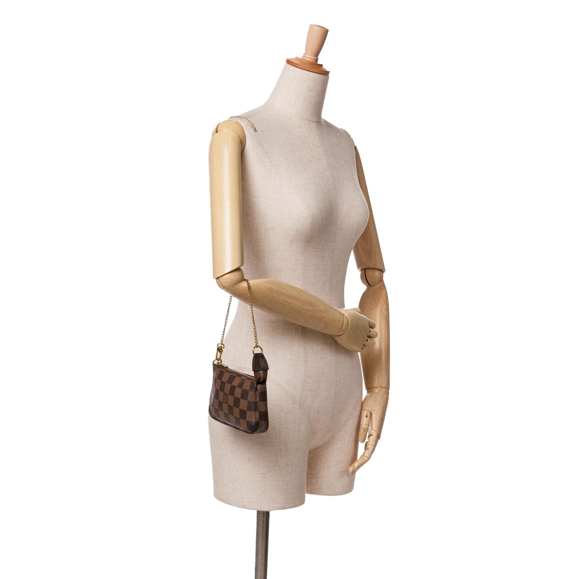Louis Vuitton Damier Ebene Mini Pochette Accessoires