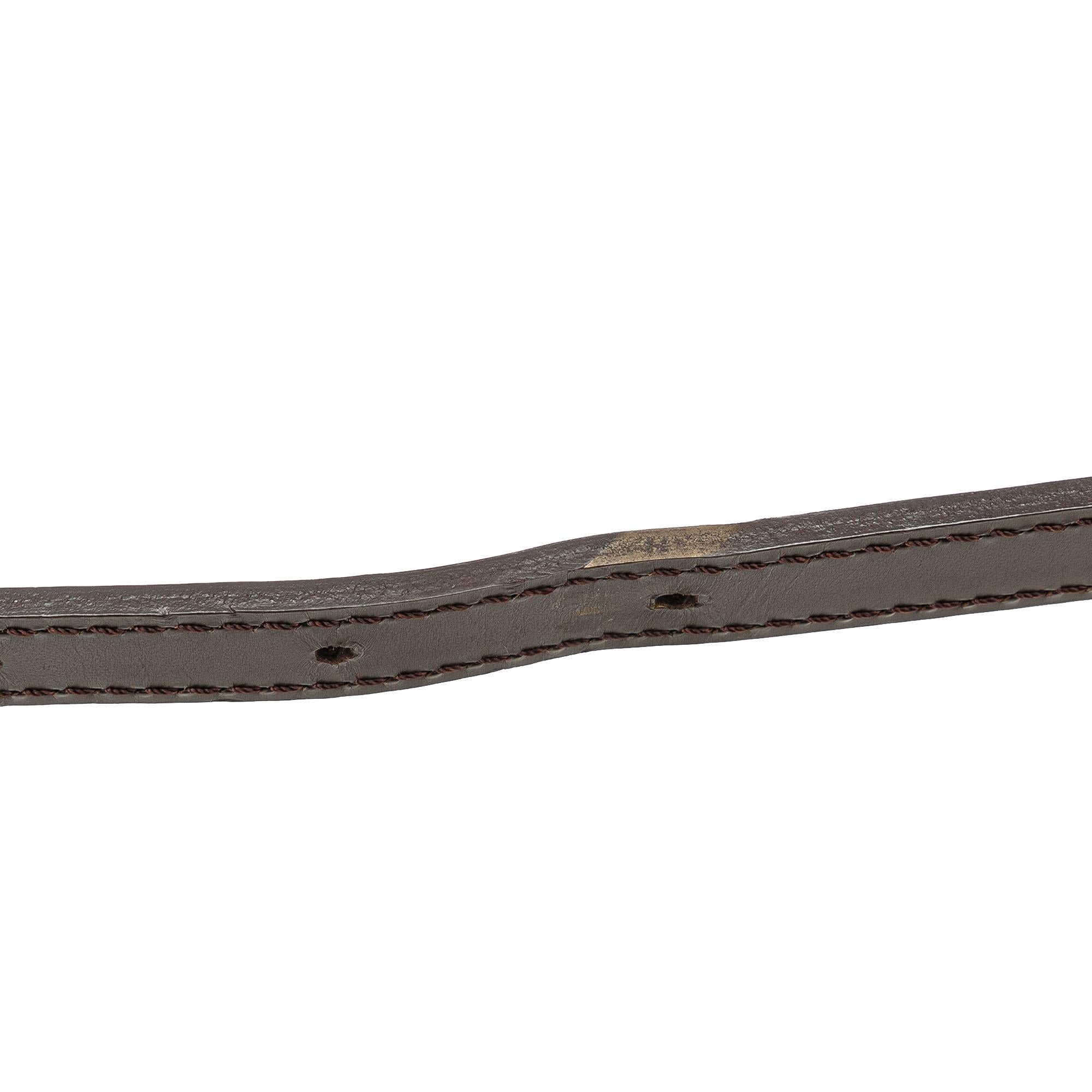Louis Vuitton Damier Ebene Musette Salsa Long Strap