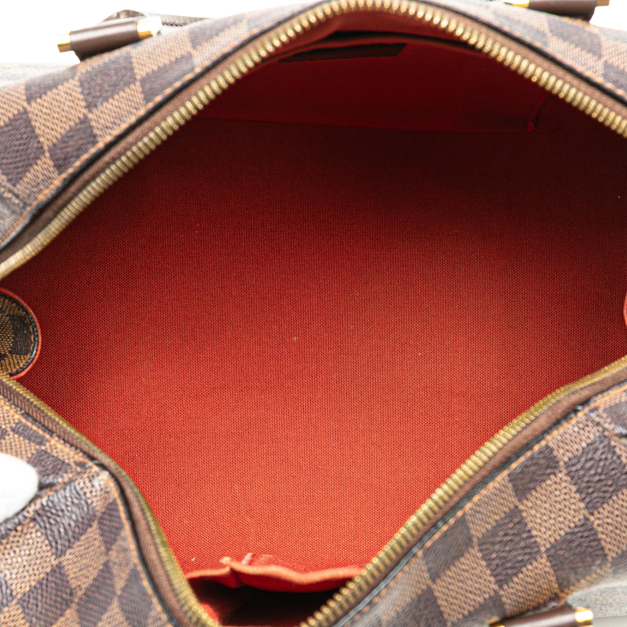 Louis Vuitton Damier Ebene Ribera MM