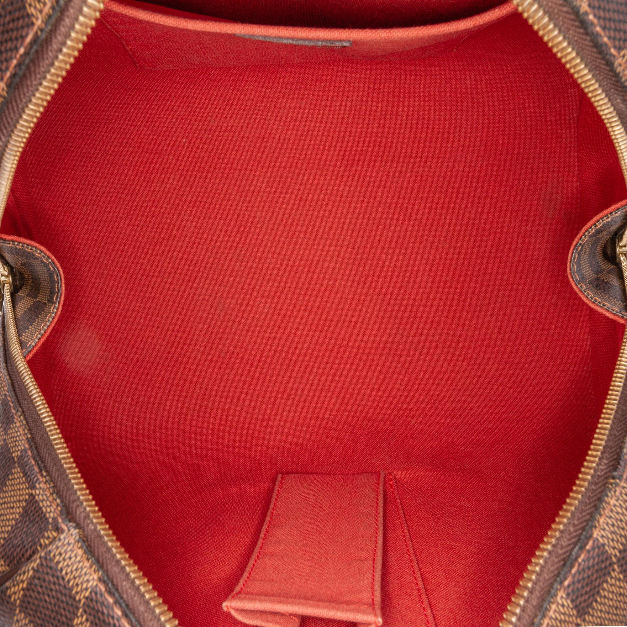 Louis Vuitton Damier Ebene Ribera MM