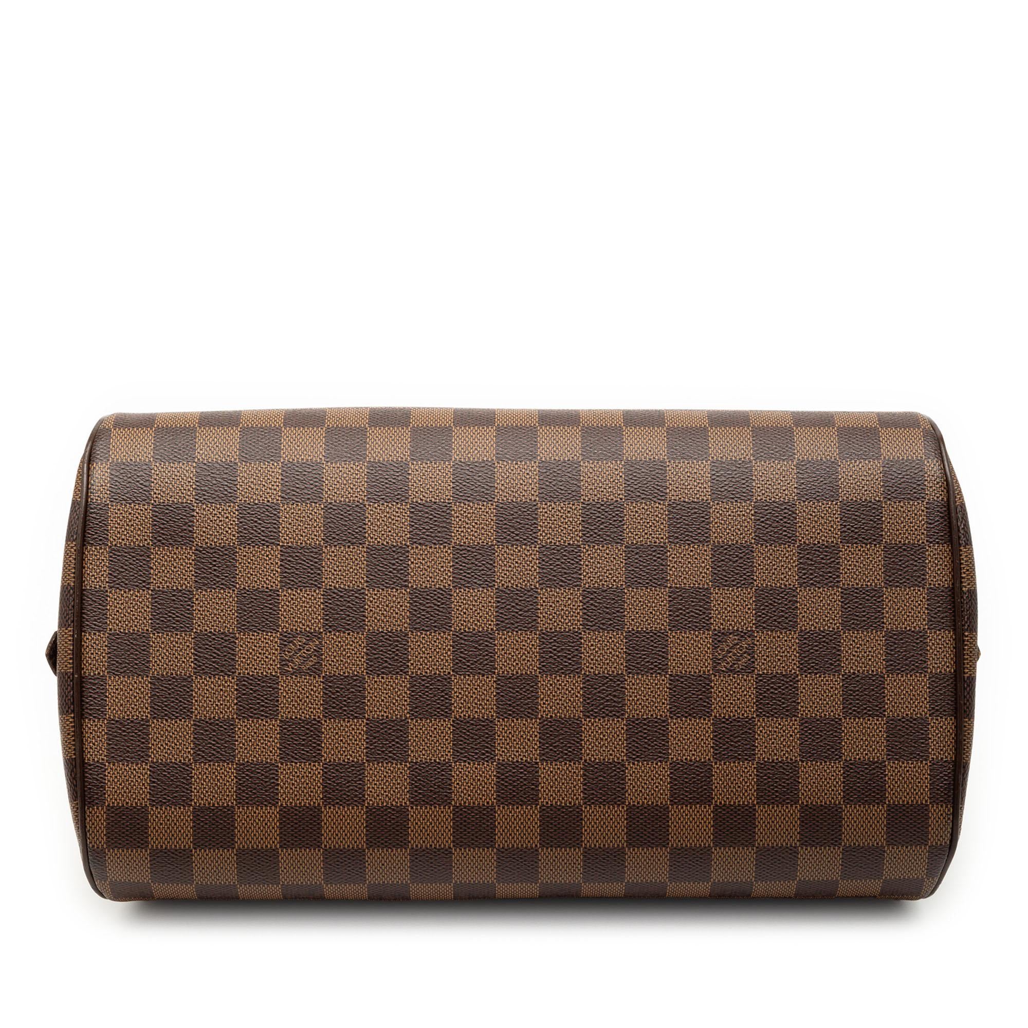 Louis Vuitton Damier Ebene Ribera MM