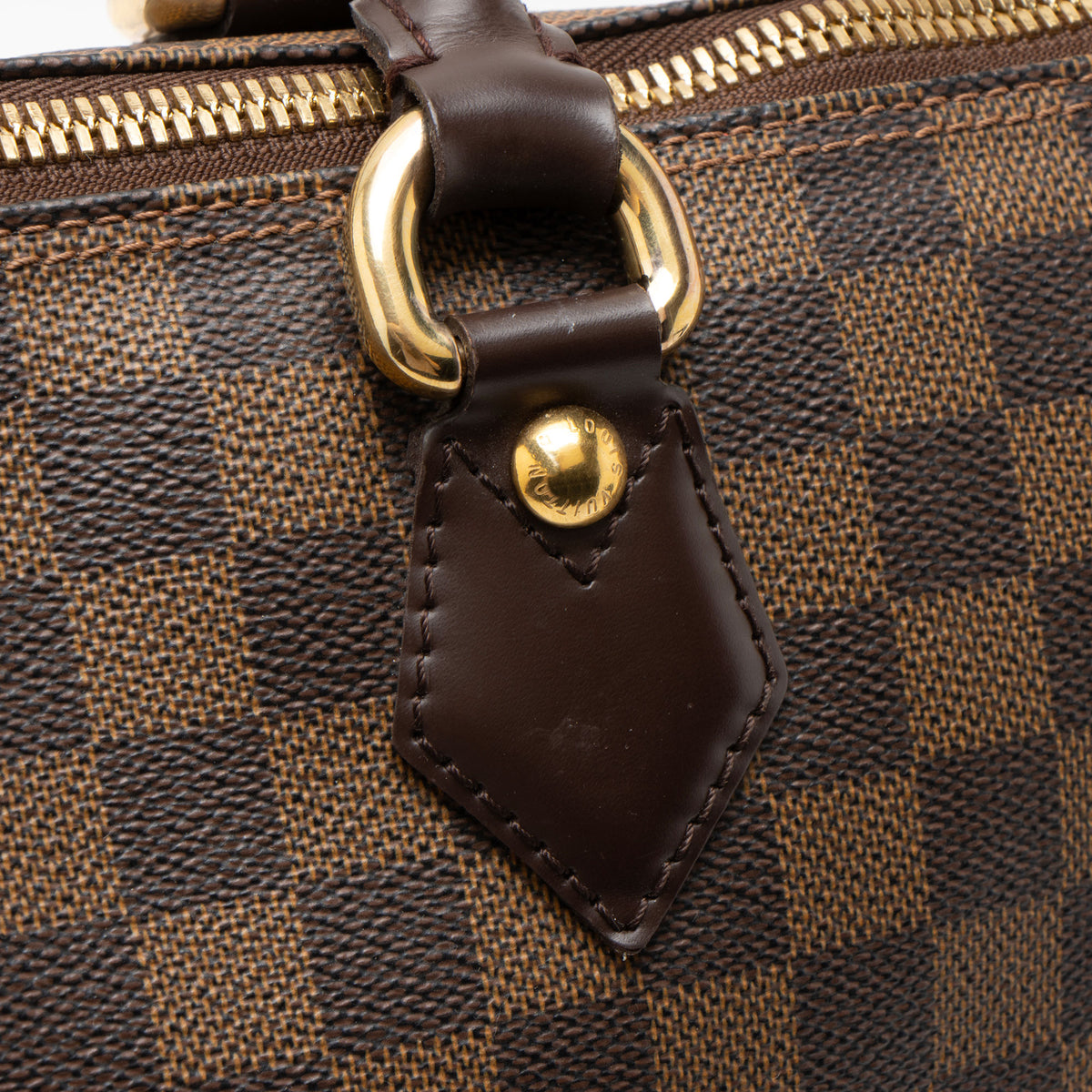 Louis Vuitton Damier Ebene Saleya MM Tote