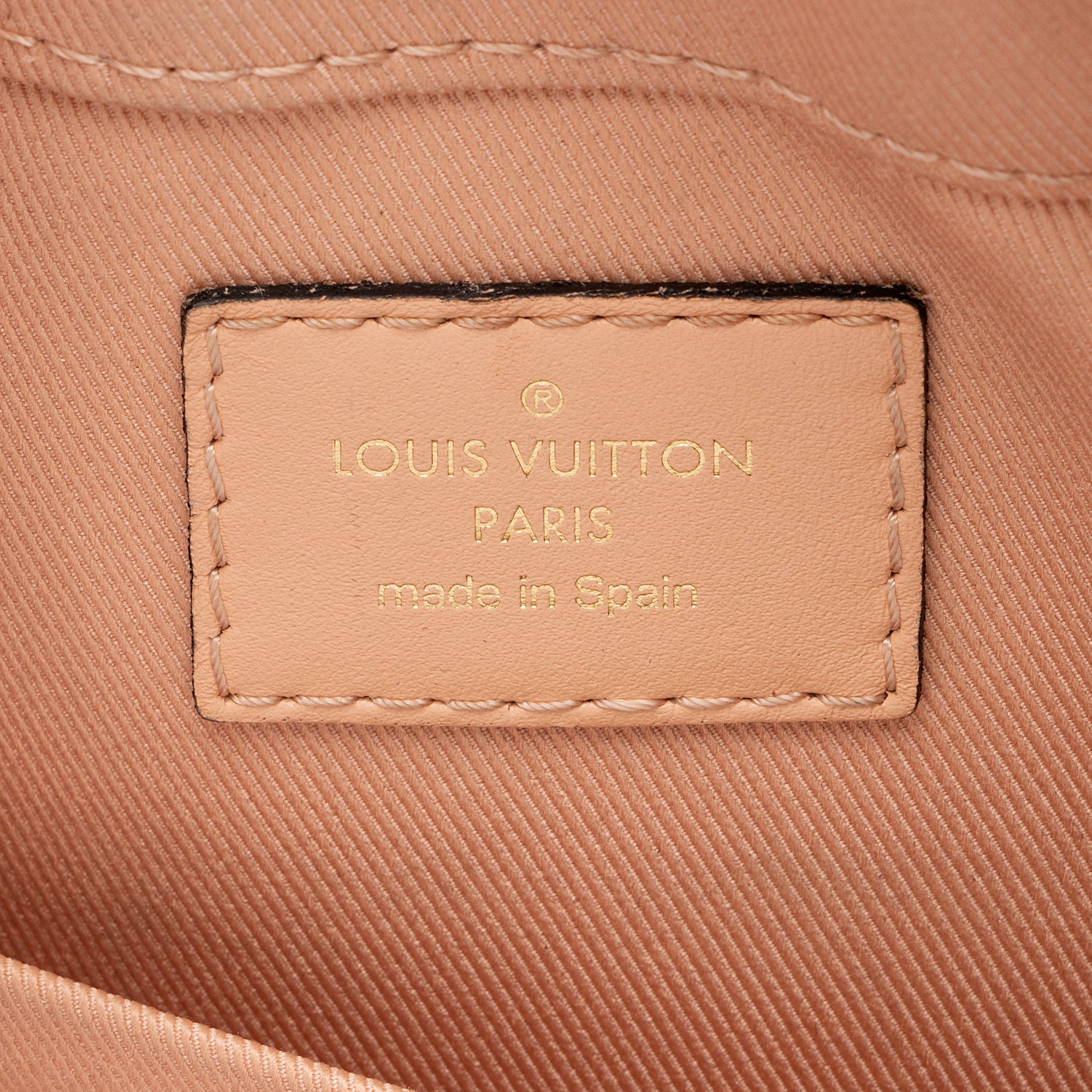 Louis Vuitton Damier Ebene Santa Monica Shoulder Bag (SHF-xbOCN7)