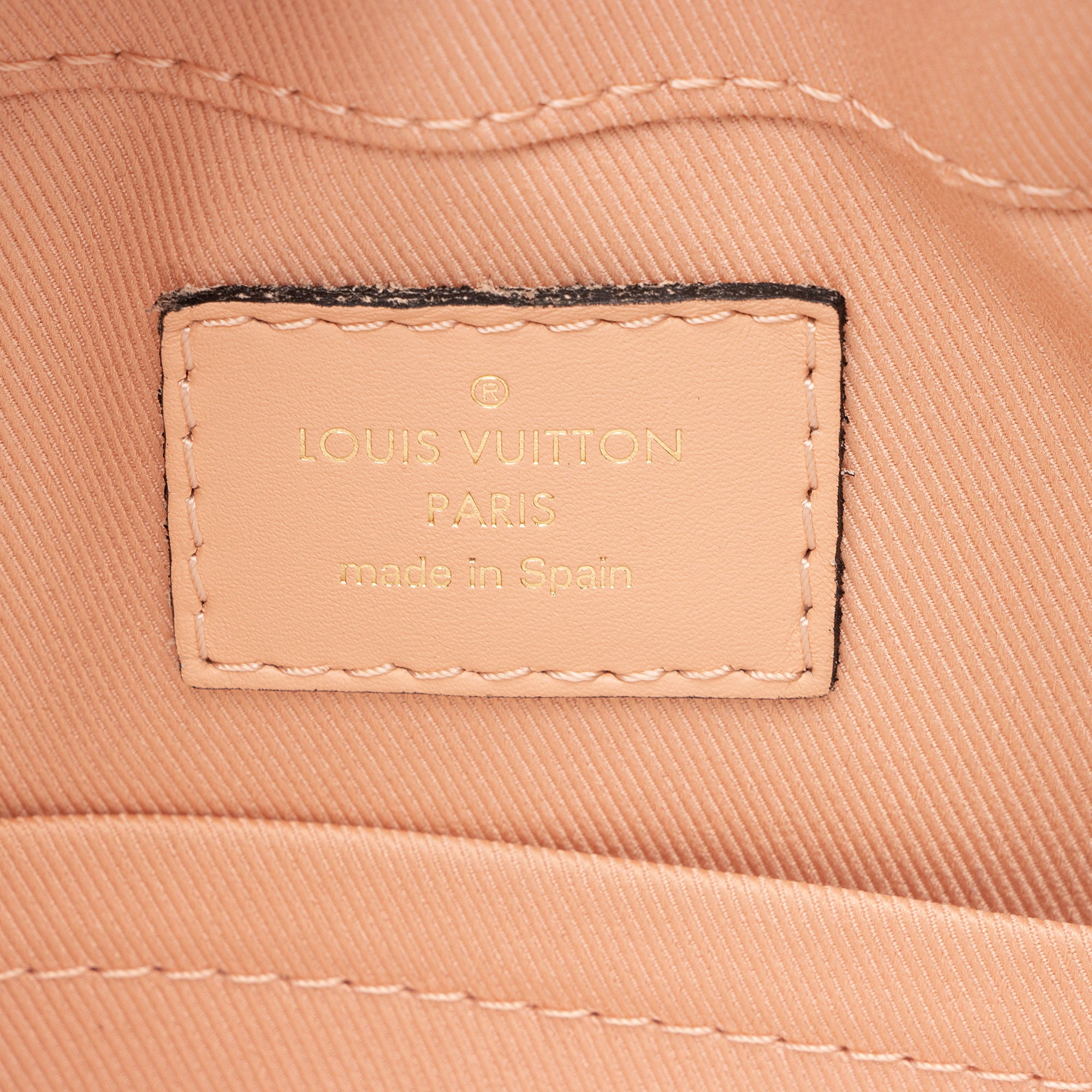 Louis Vuitton Damier Ebene Santa Monica Shoulder Bag