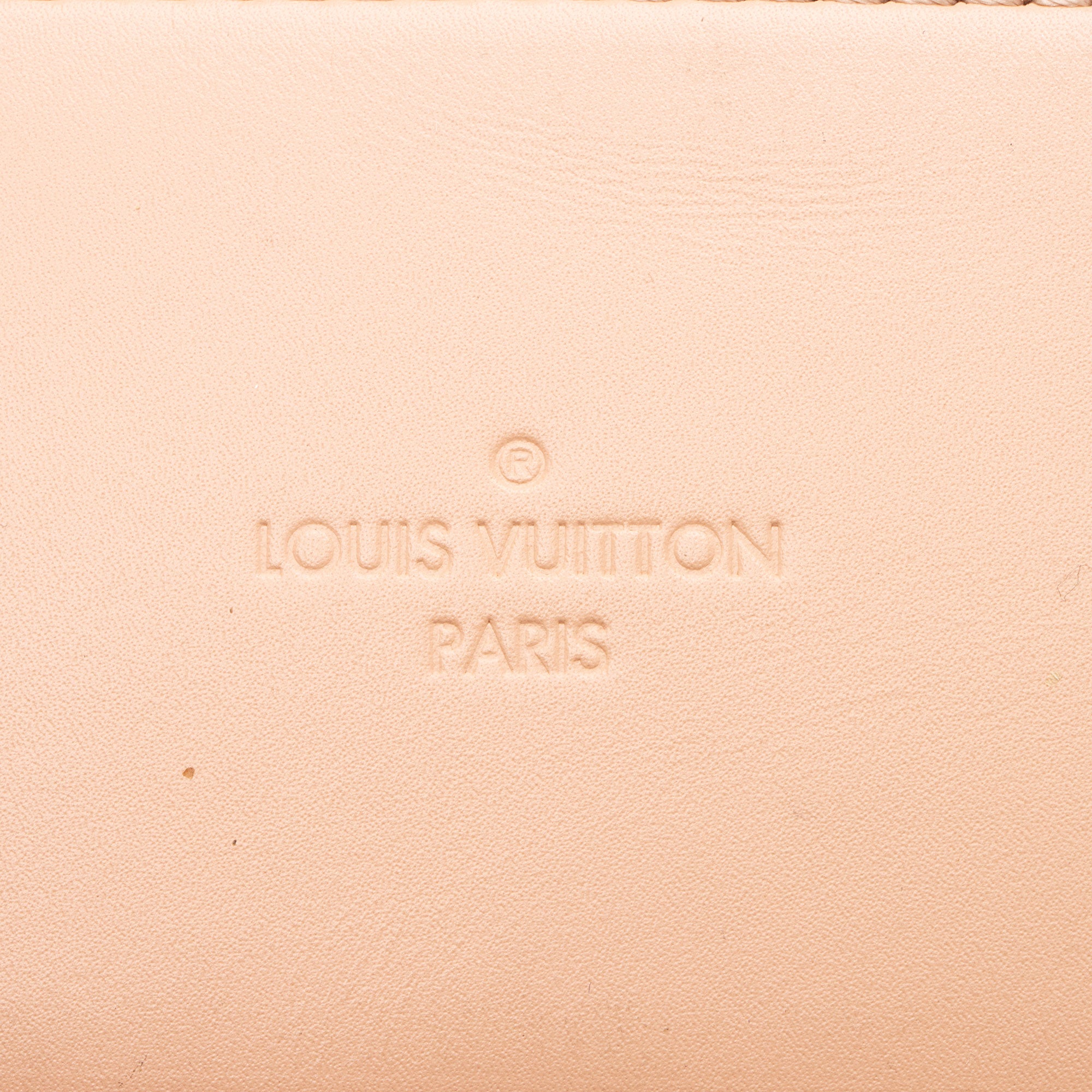 Louis Vuitton Damier Ebene Santa Monica Shoulder Bag