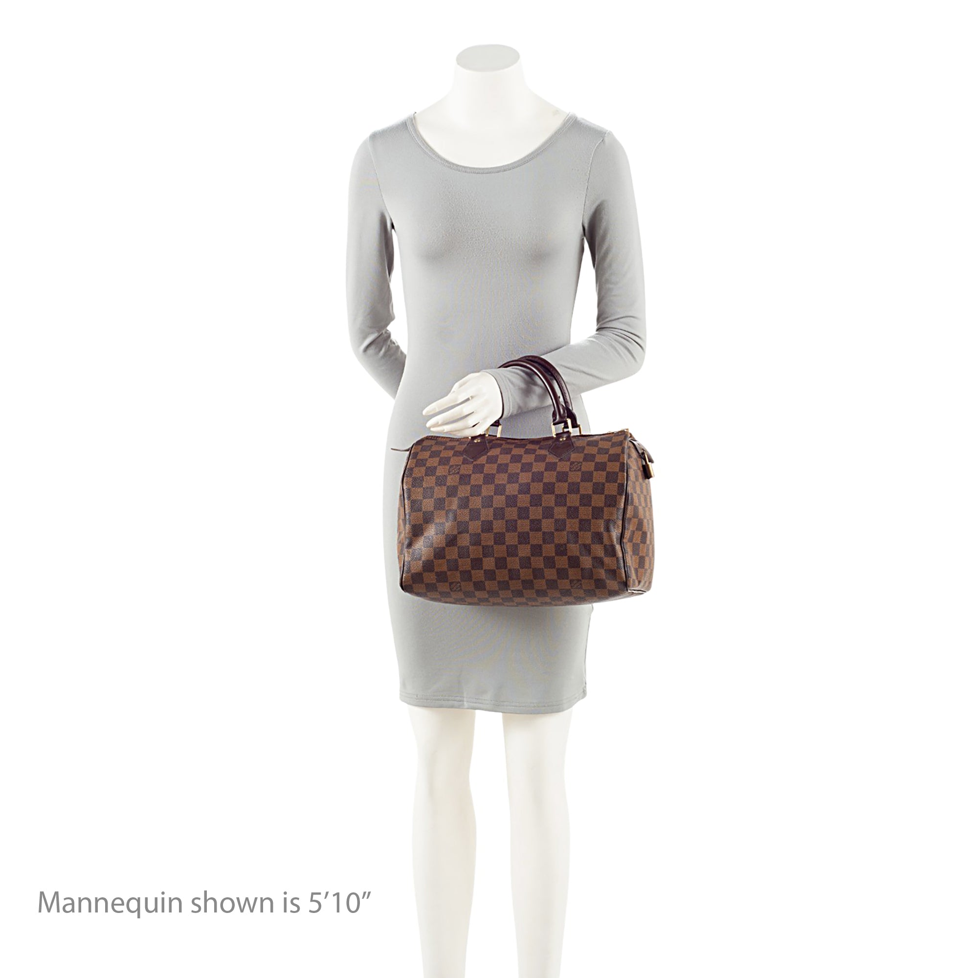 Louis Vuitton Damier Ebene Speedy 30 Satchel