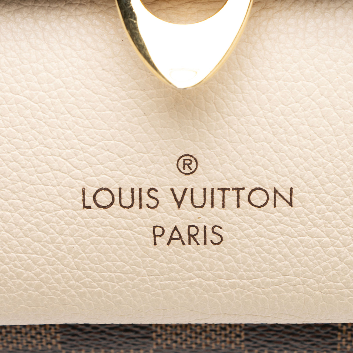 Louis Vuitton Damier Ebene Vavin PM Shoulder Bag