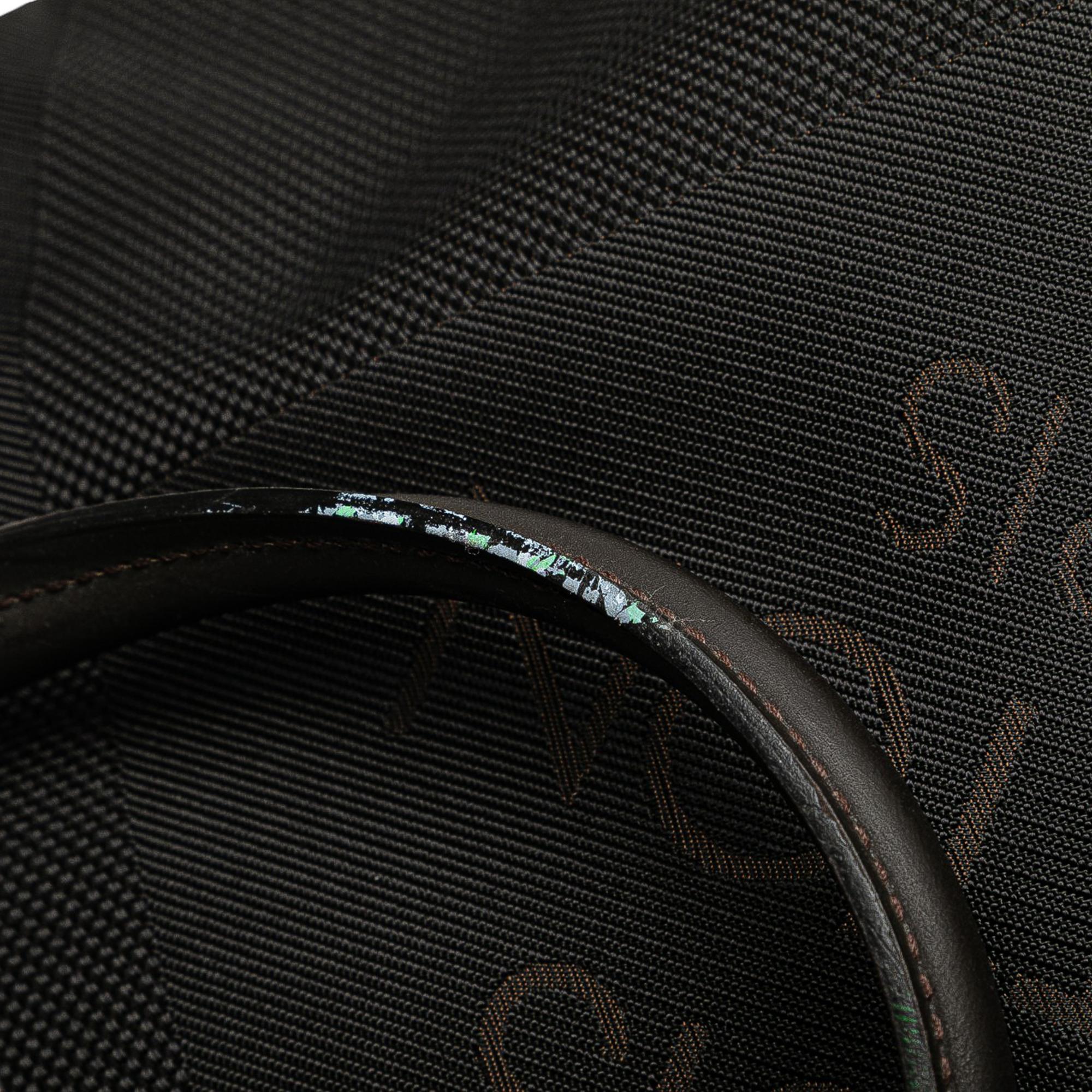 Louis Vuitton Damier Geant Cougar