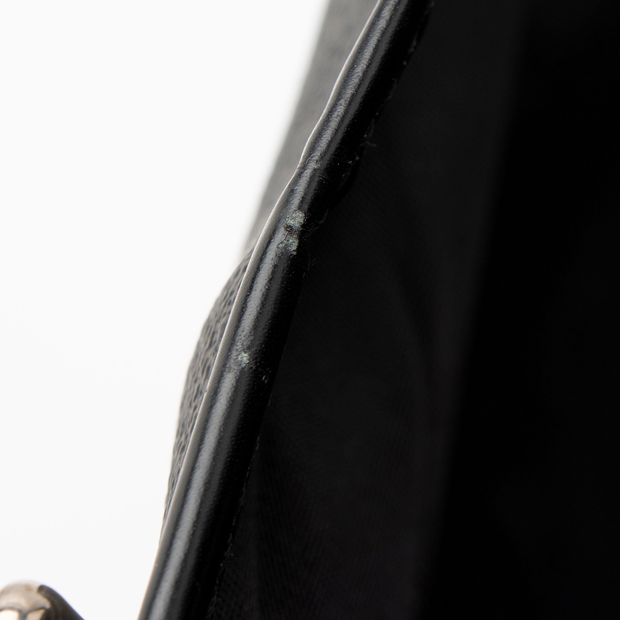 Louis Vuitton Damier Graphite Garment Cover