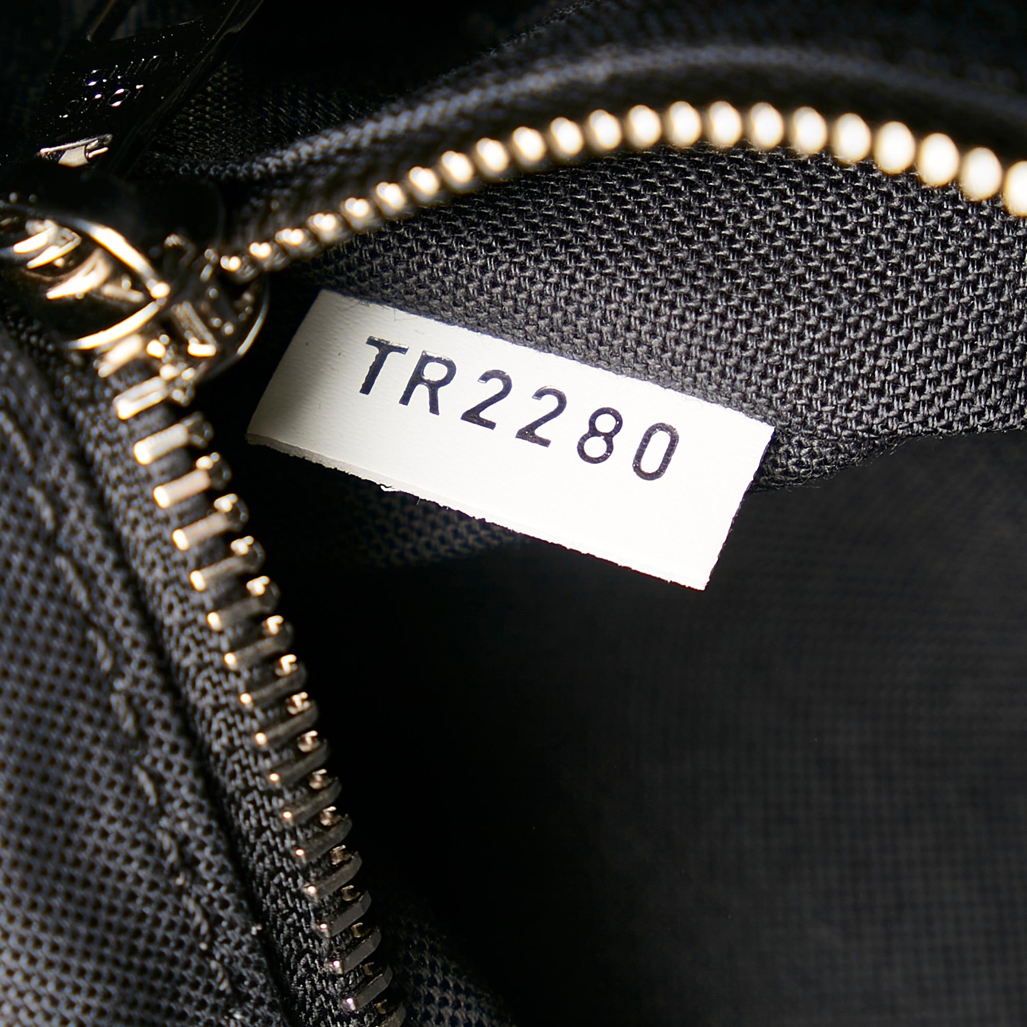 Louis Vuitton Damier Graphite Giant Christopher (SHG-37669)