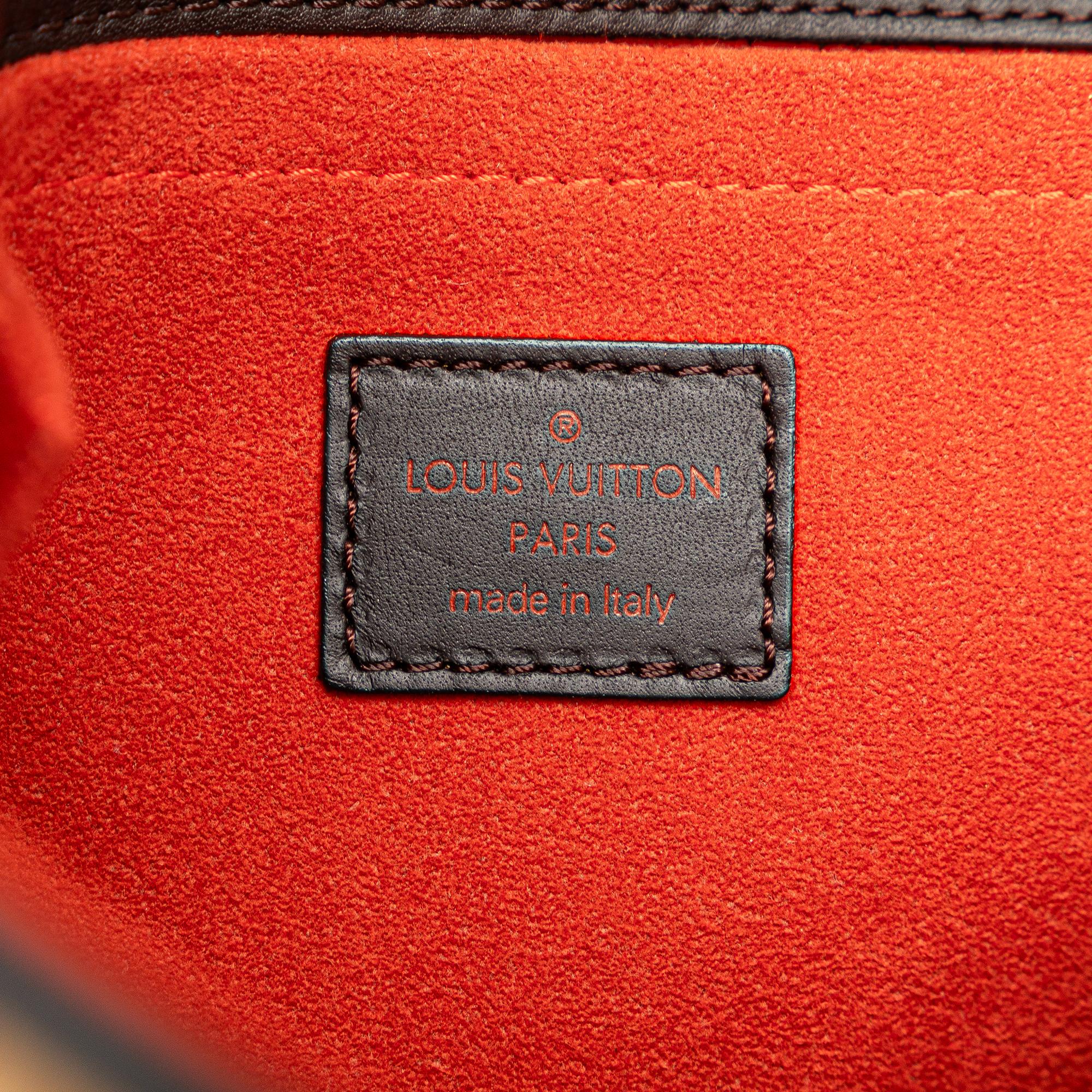 Louis Vuitton Damier Sauvage Lionne (SHG-0a0zRD)