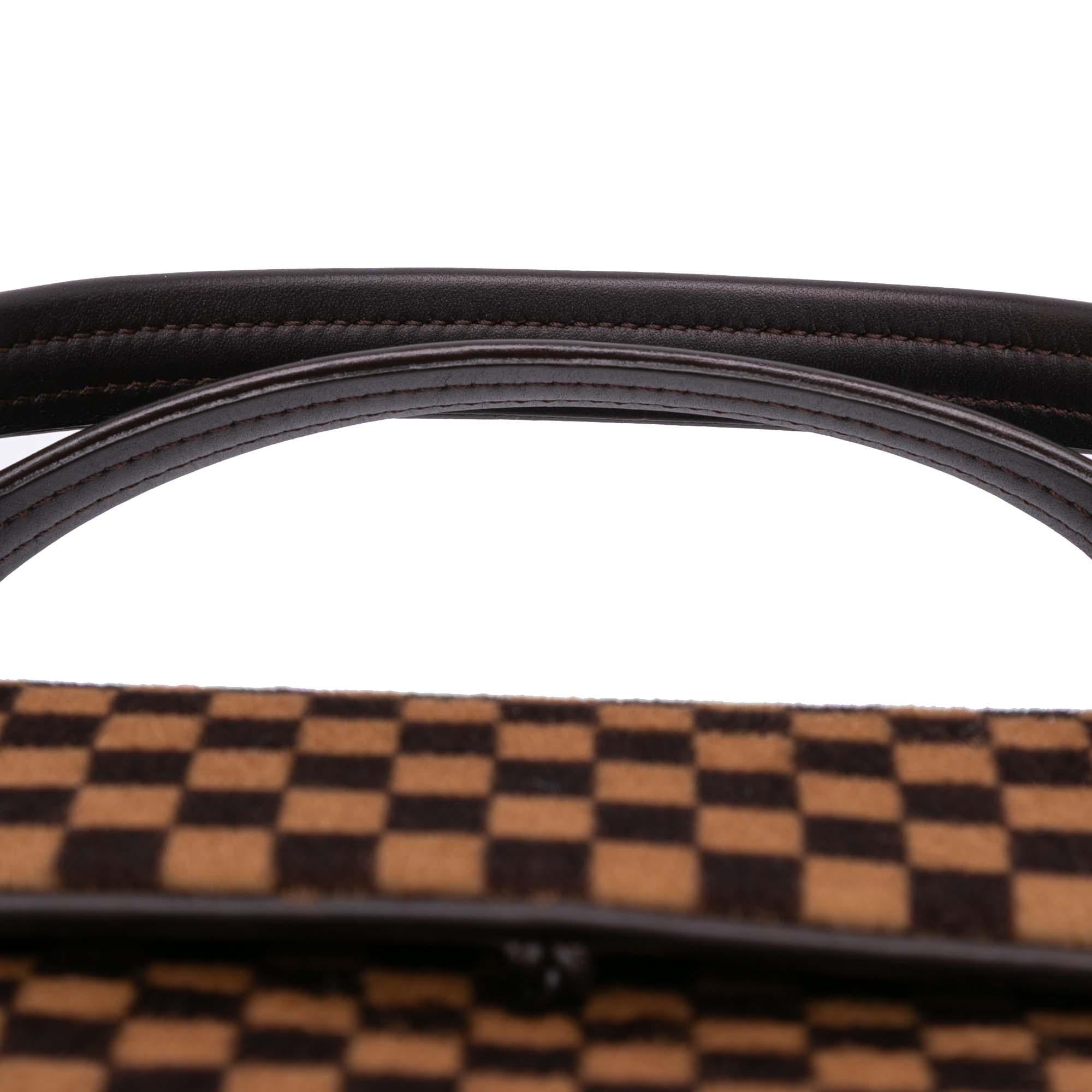 Louis Vuitton Damier Sauvage Lionne
