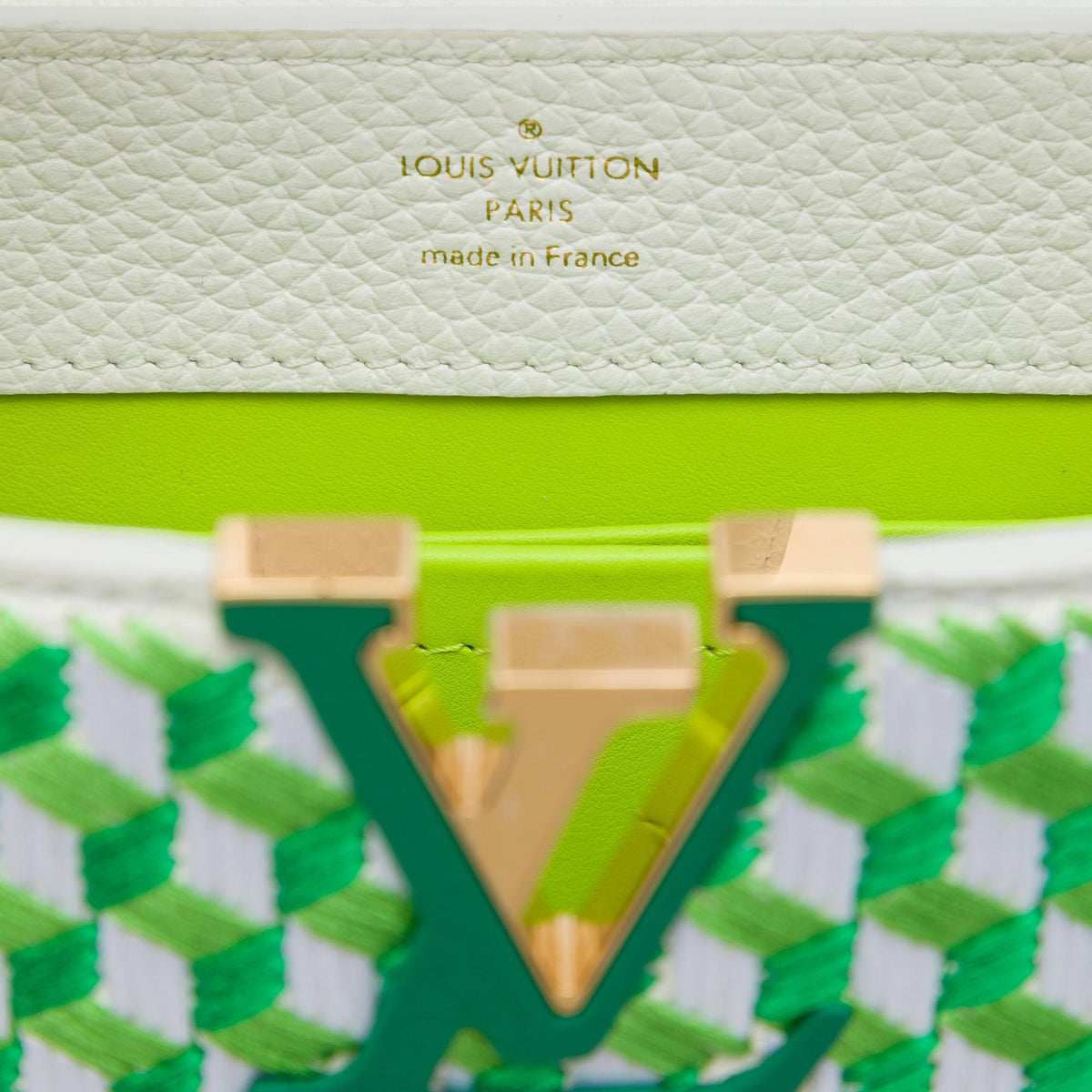 Louis Vuitton Embroidered Taurillon Mini Capucines