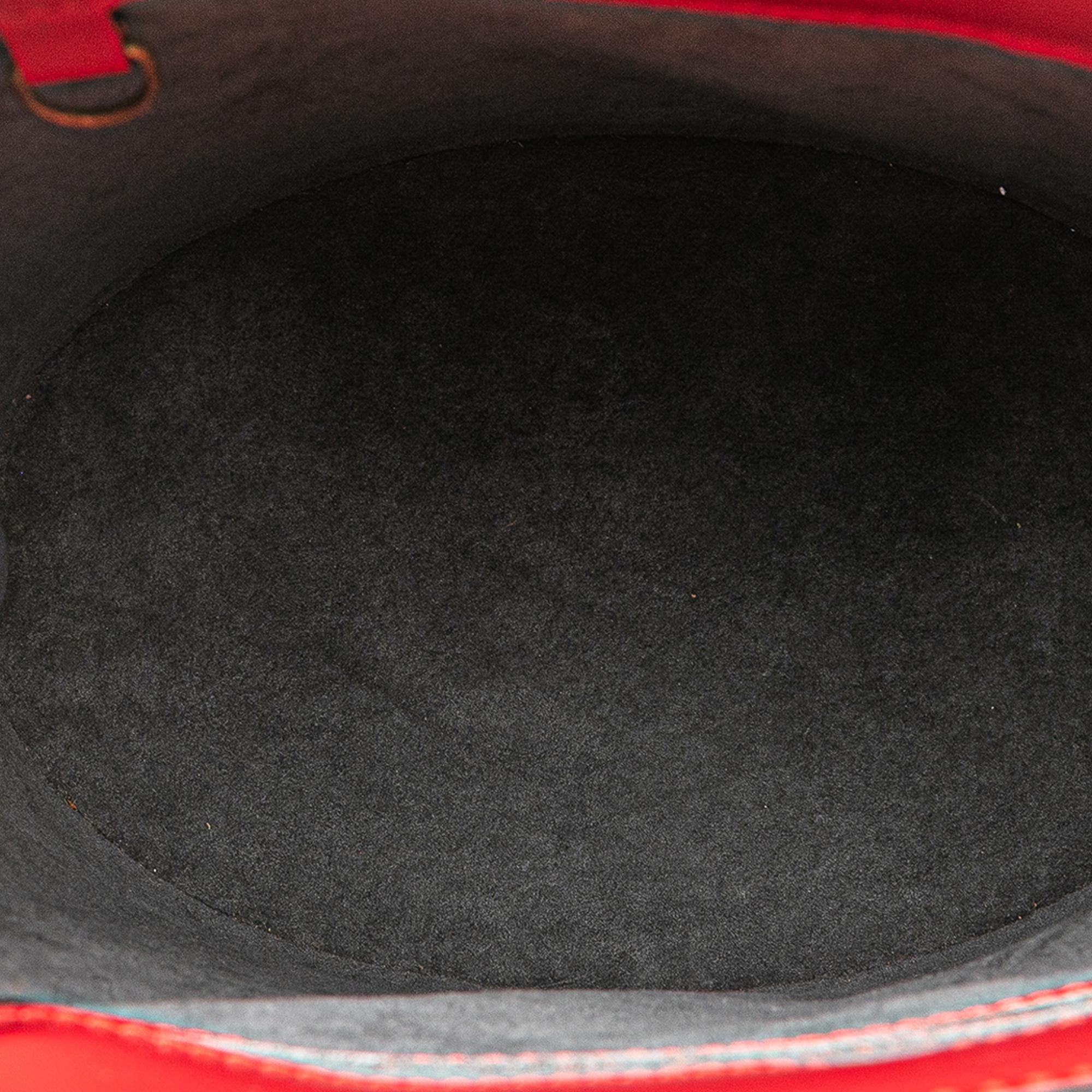 Louis Vuitton Epi Cluny