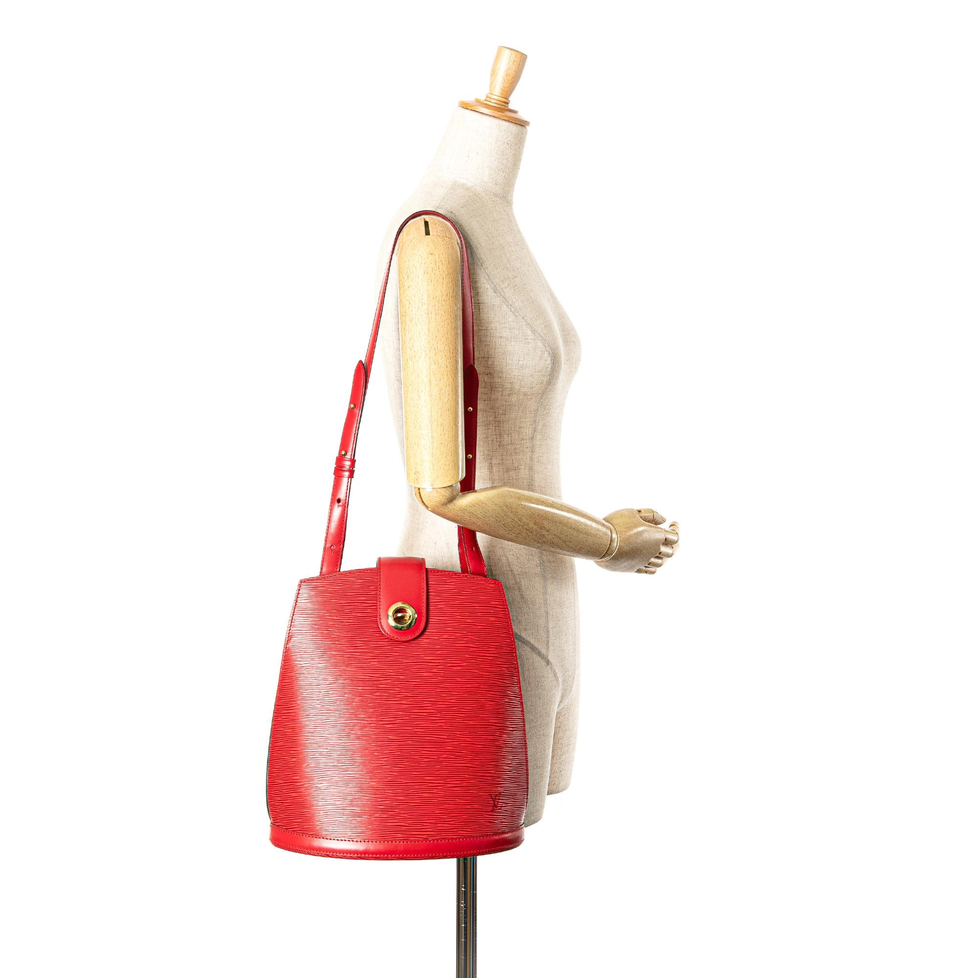 Louis Vuitton Epi Cluny