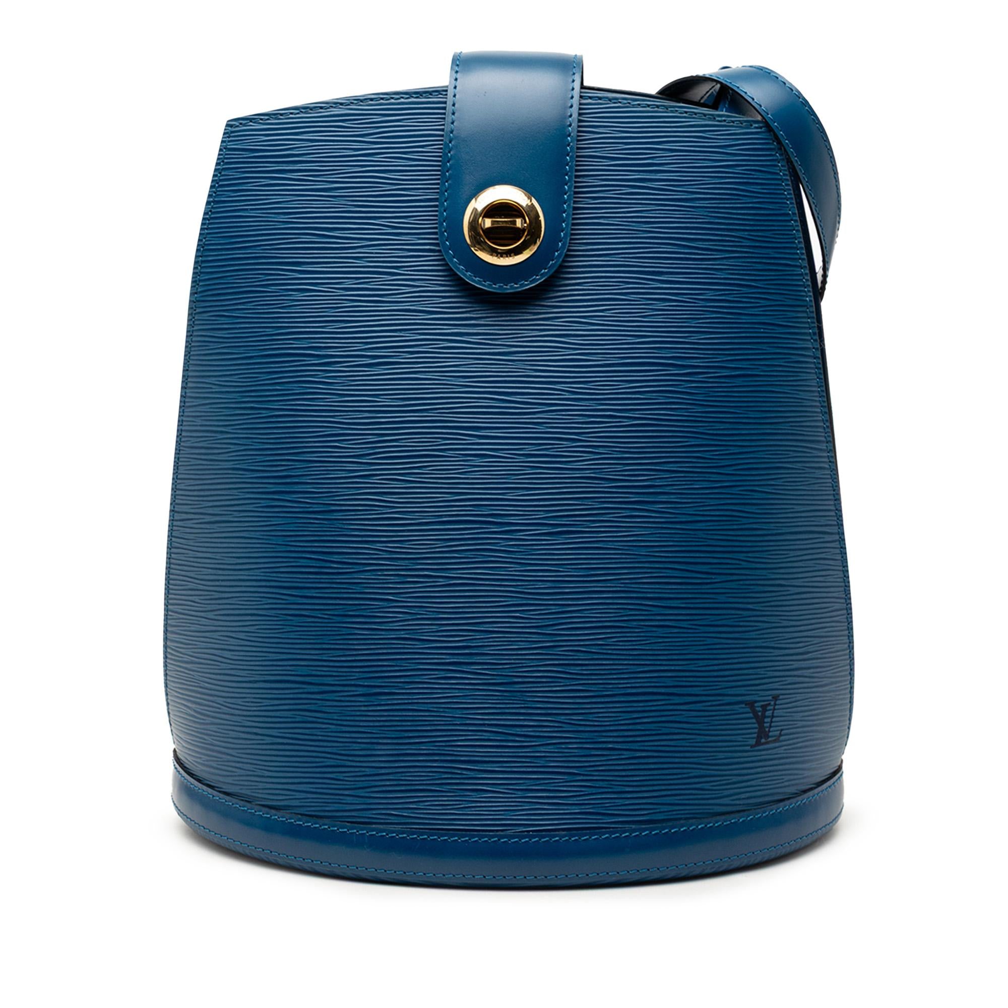 Louis Vuitton Epi Cluny