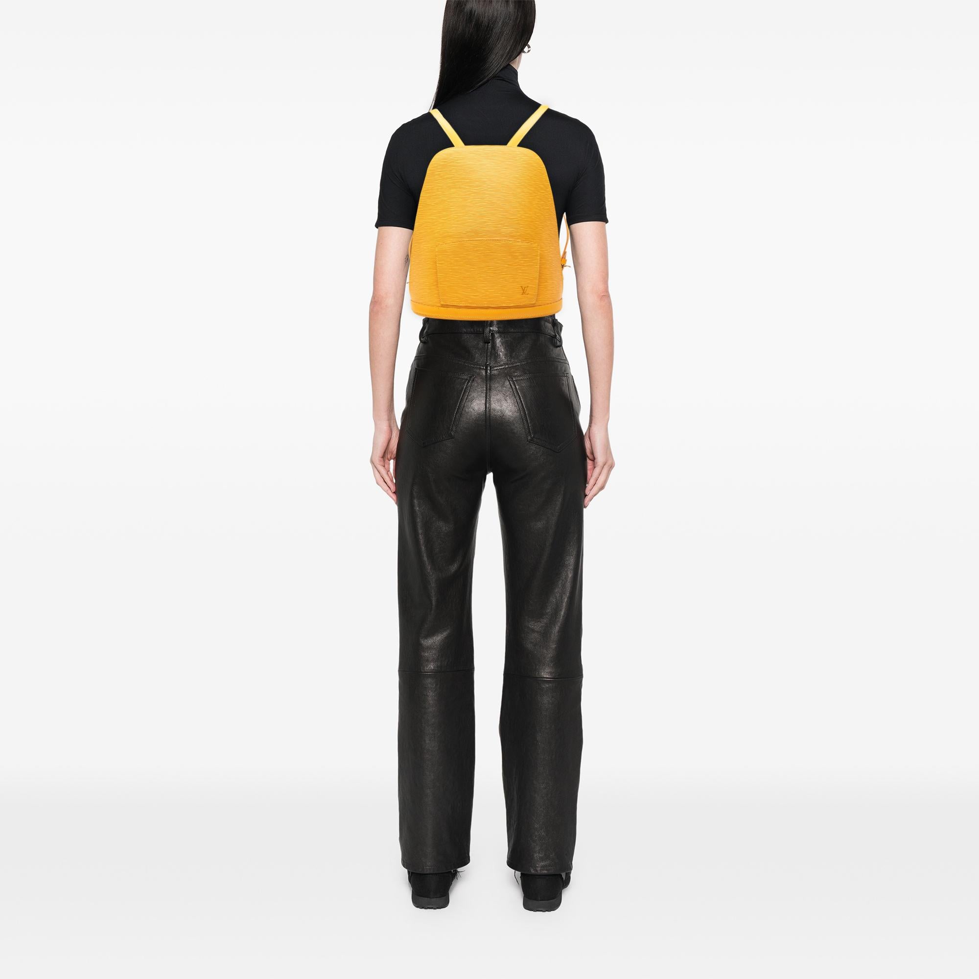 Louis Vuitton Epi Gobelins