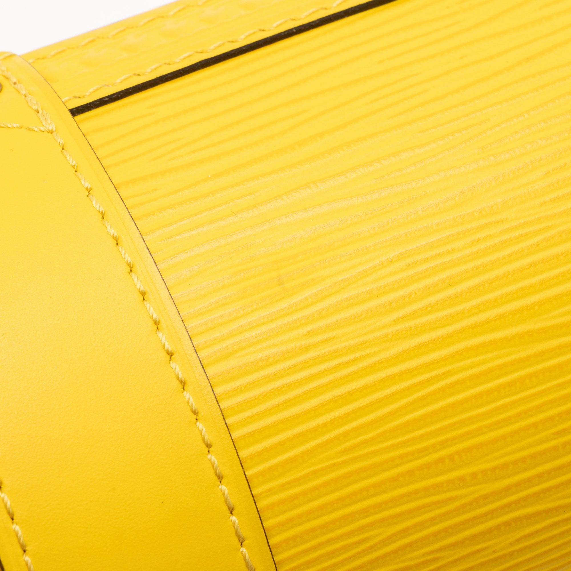 Louis Vuitton Epi Leather Papillon Trunk Bag