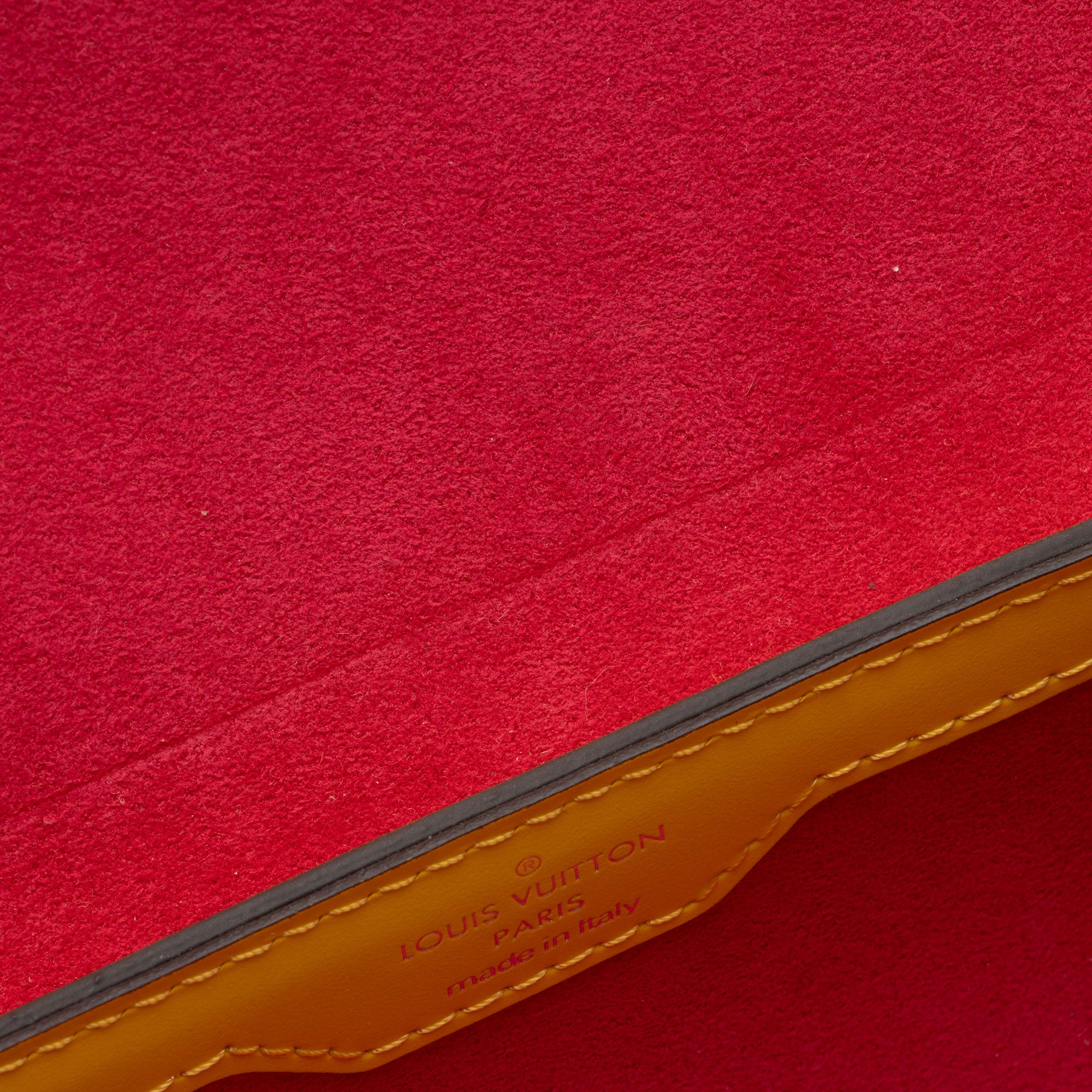 Louis Vuitton Epi Leather Papillon Trunk Bag