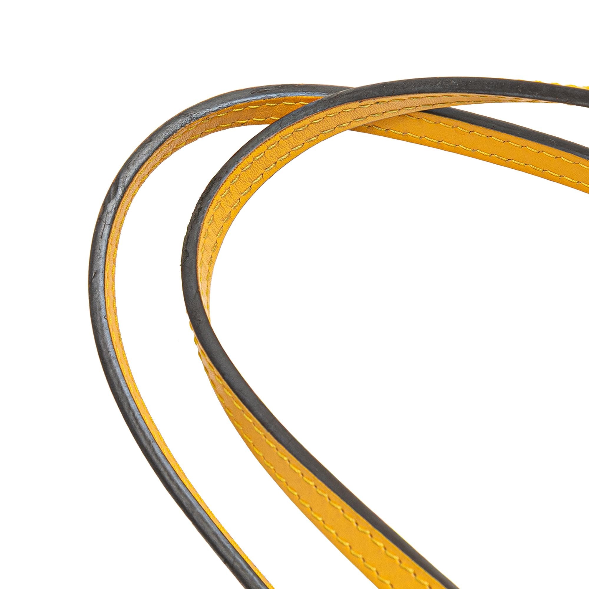 Louis Vuitton Epi Neverfull MM