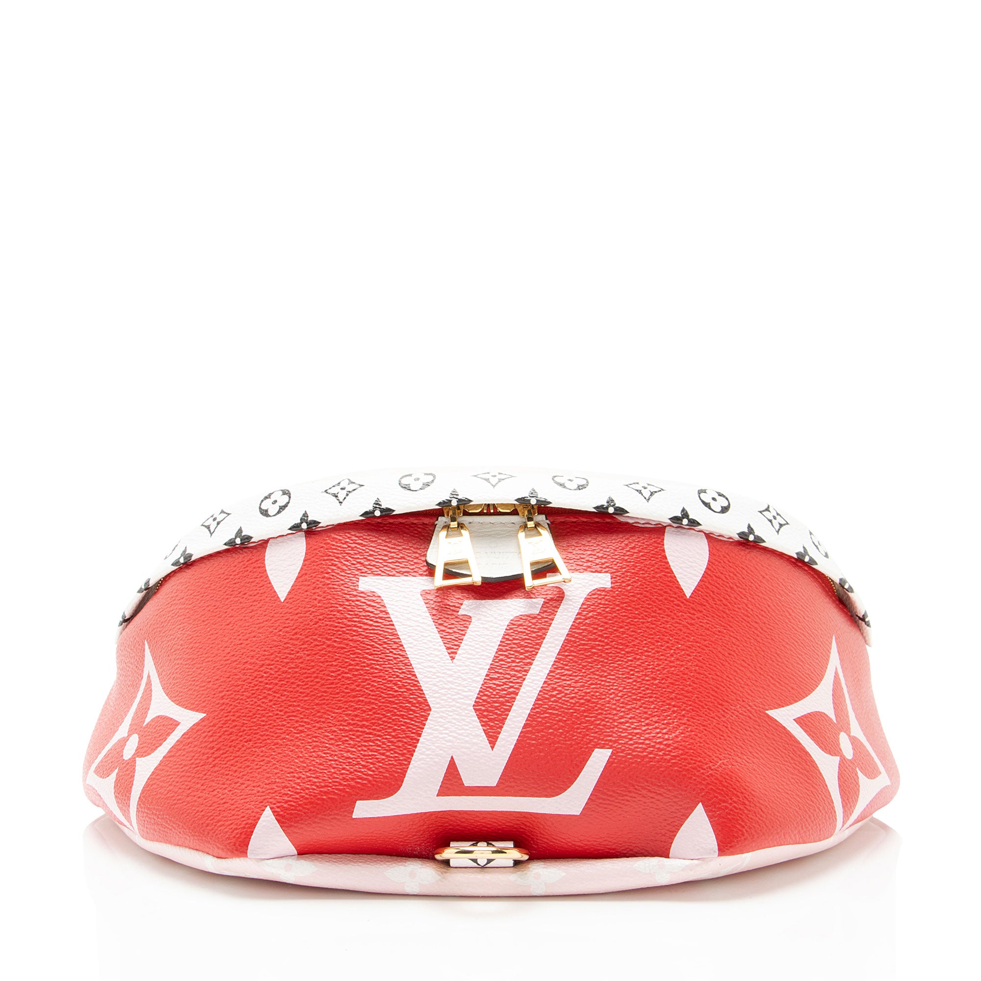 Louis Vuitton Giant Monogram Canvas Bumbag