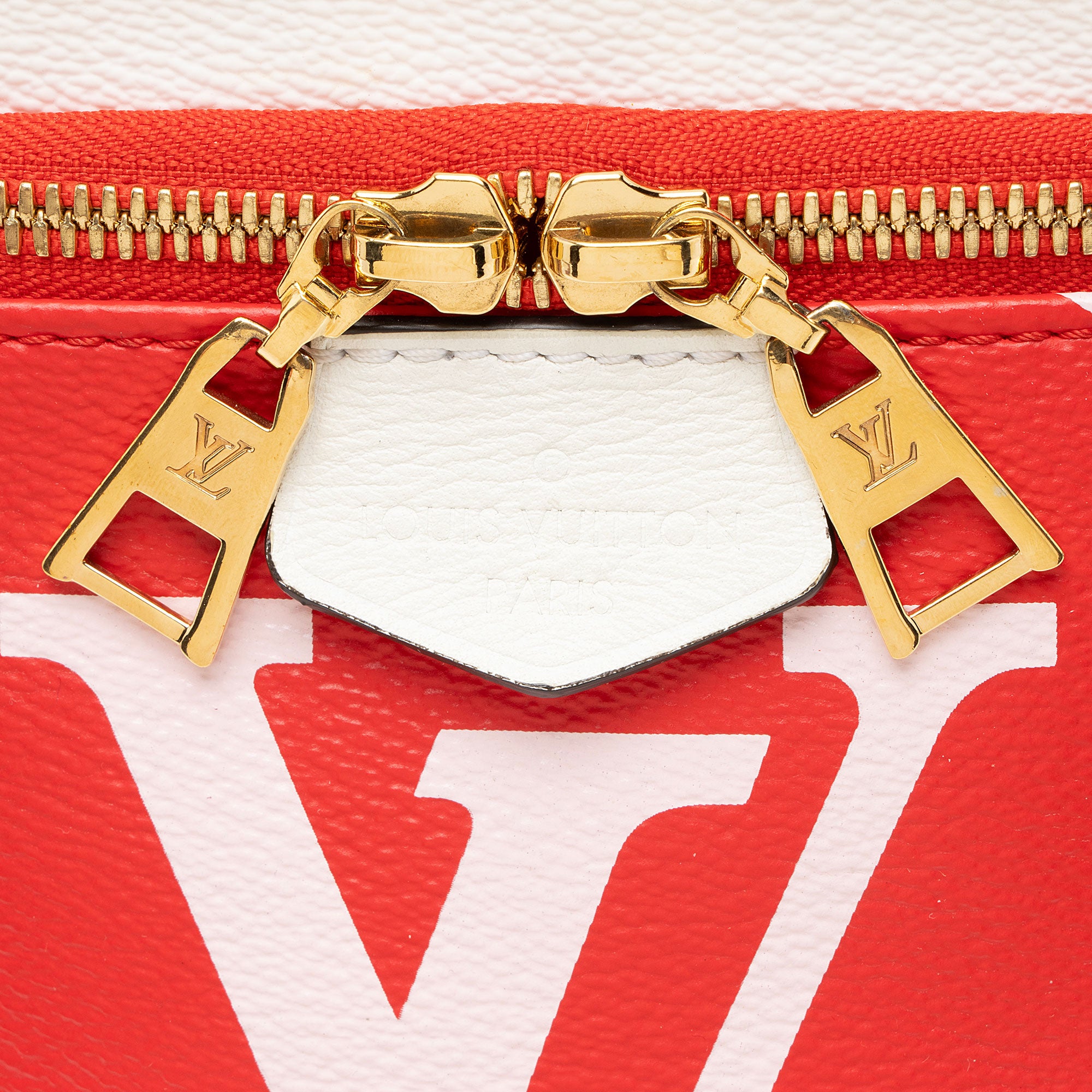 Louis Vuitton Giant Monogram Canvas Bumbag