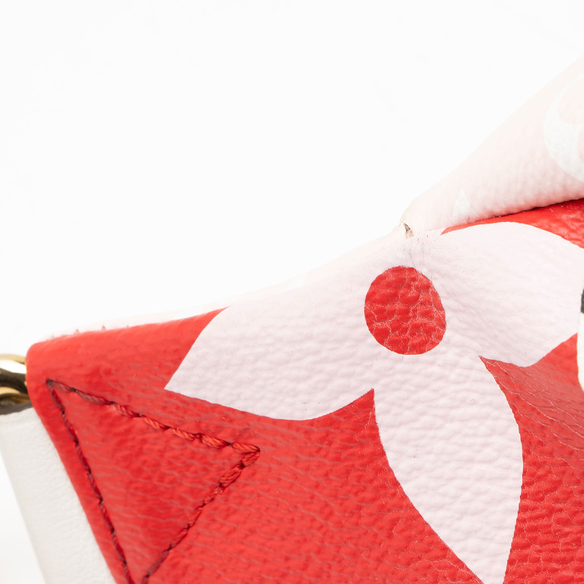 Louis Vuitton Giant Monogram Canvas Bumbag