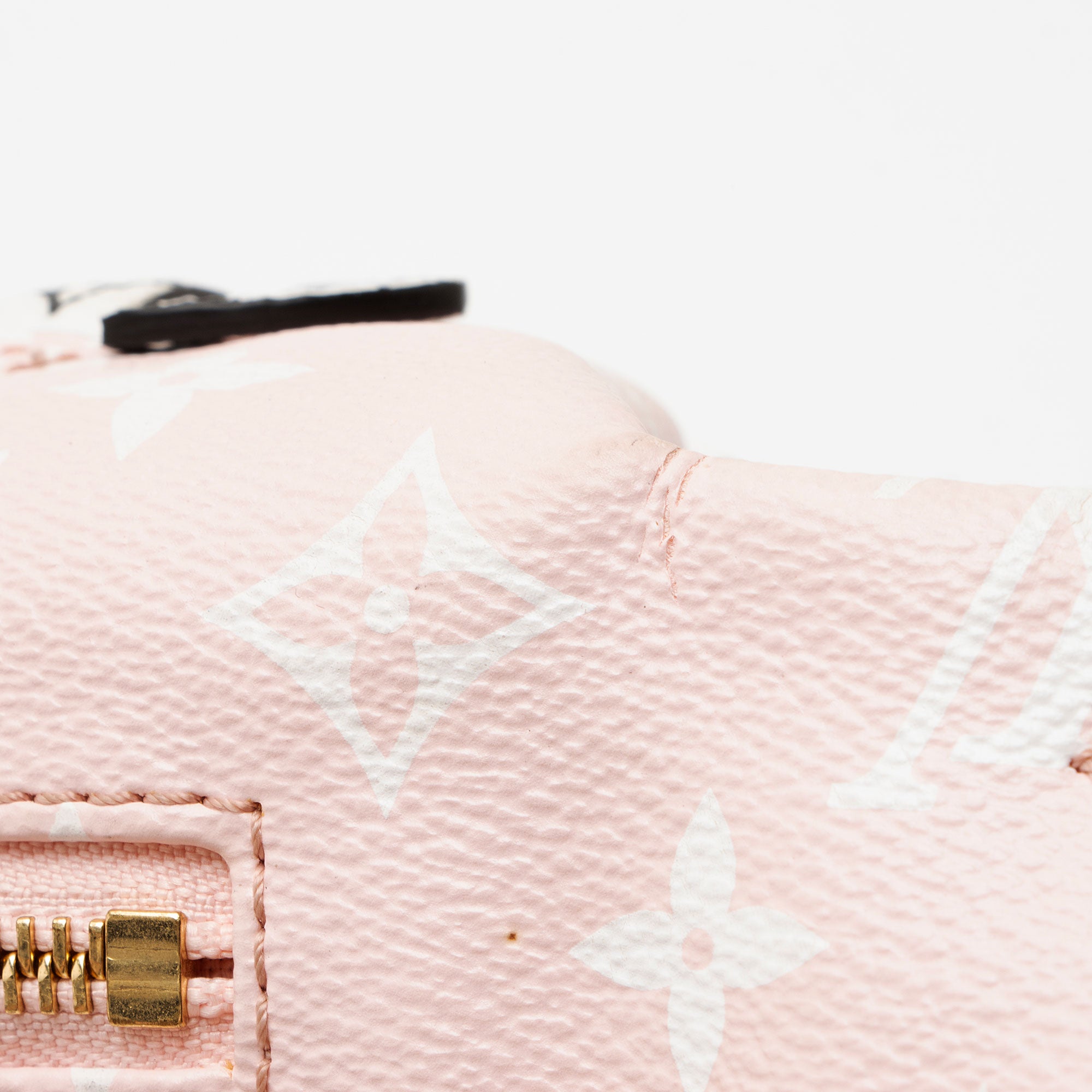 Louis Vuitton Giant Monogram Canvas Bumbag