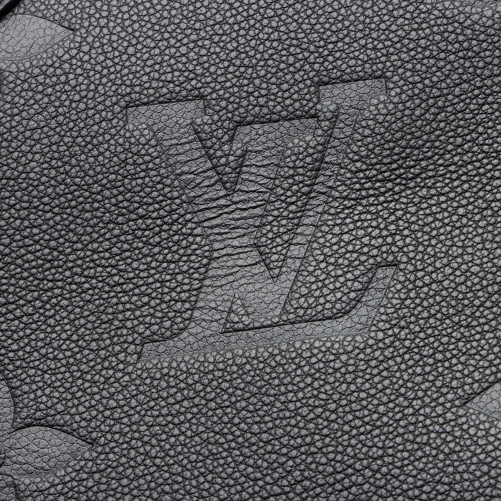 Louis Vuitton Giant Monogram Empreinte Wild Onthego MM Tote