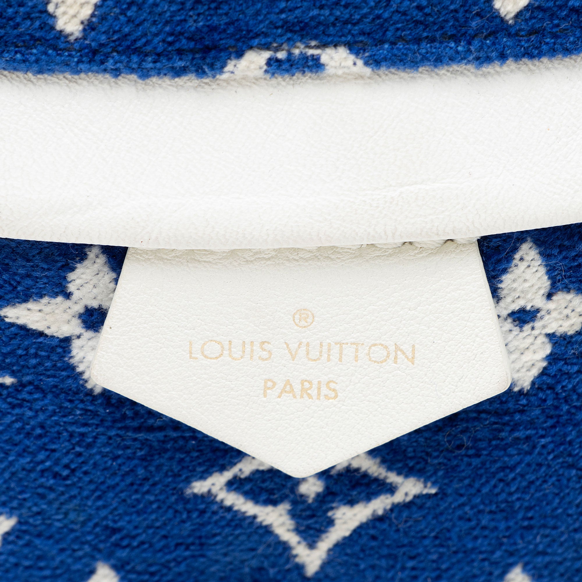 Louis Vuitton Jacquard Velvet Monogram Palm Springs Mini Backpack