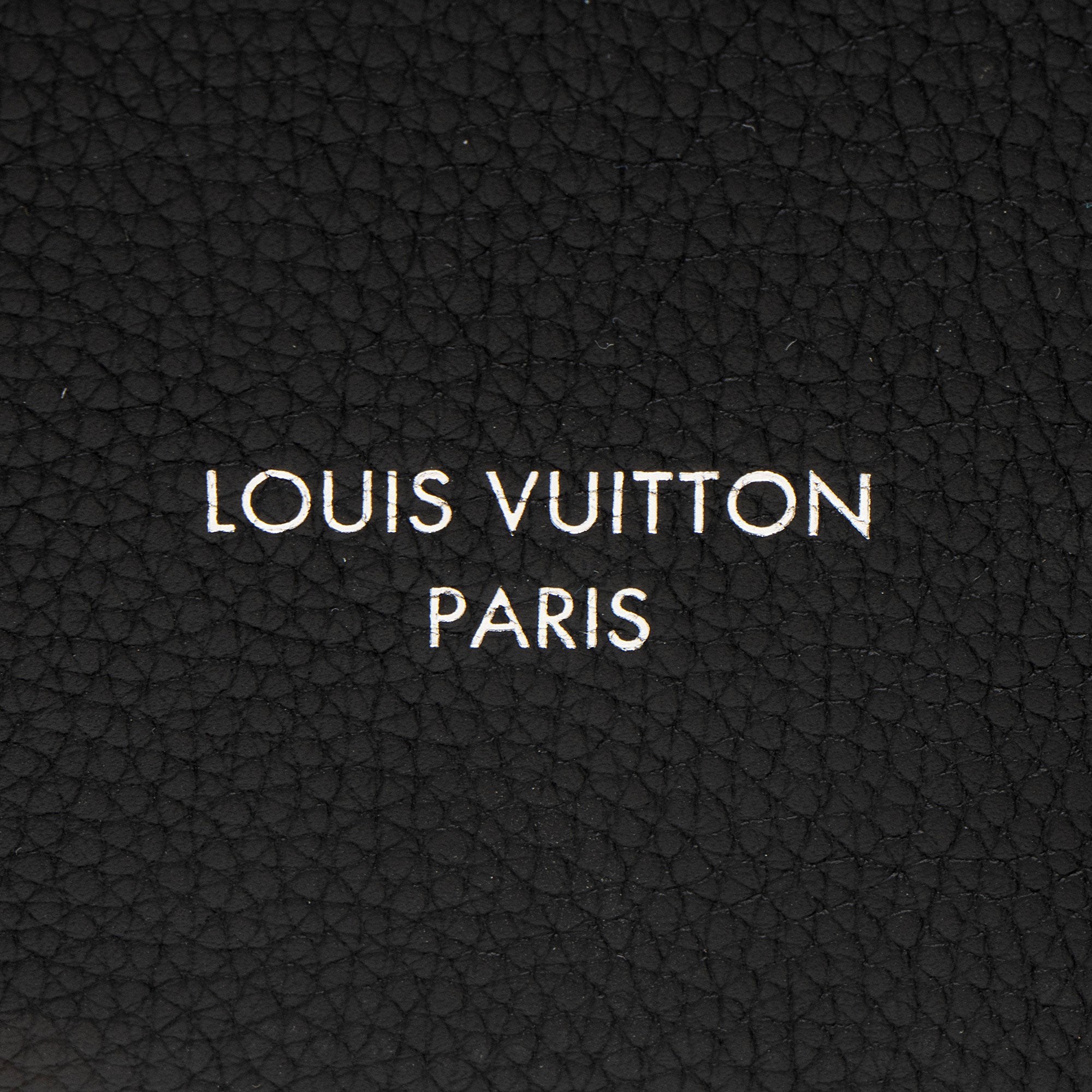 Louis Vuitton Leather Pochette