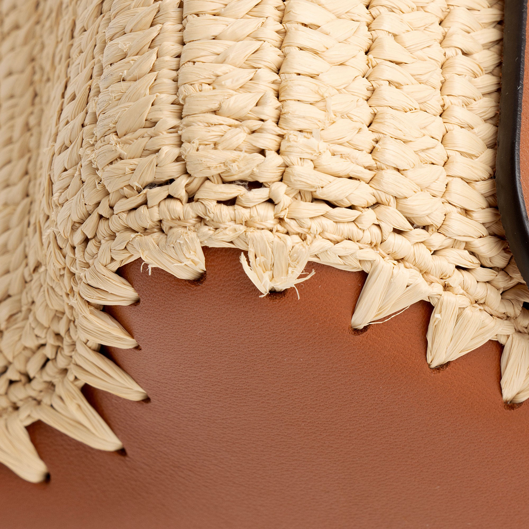 Louis Vuitton Leather Raffia Twist MM Shoulder bag
