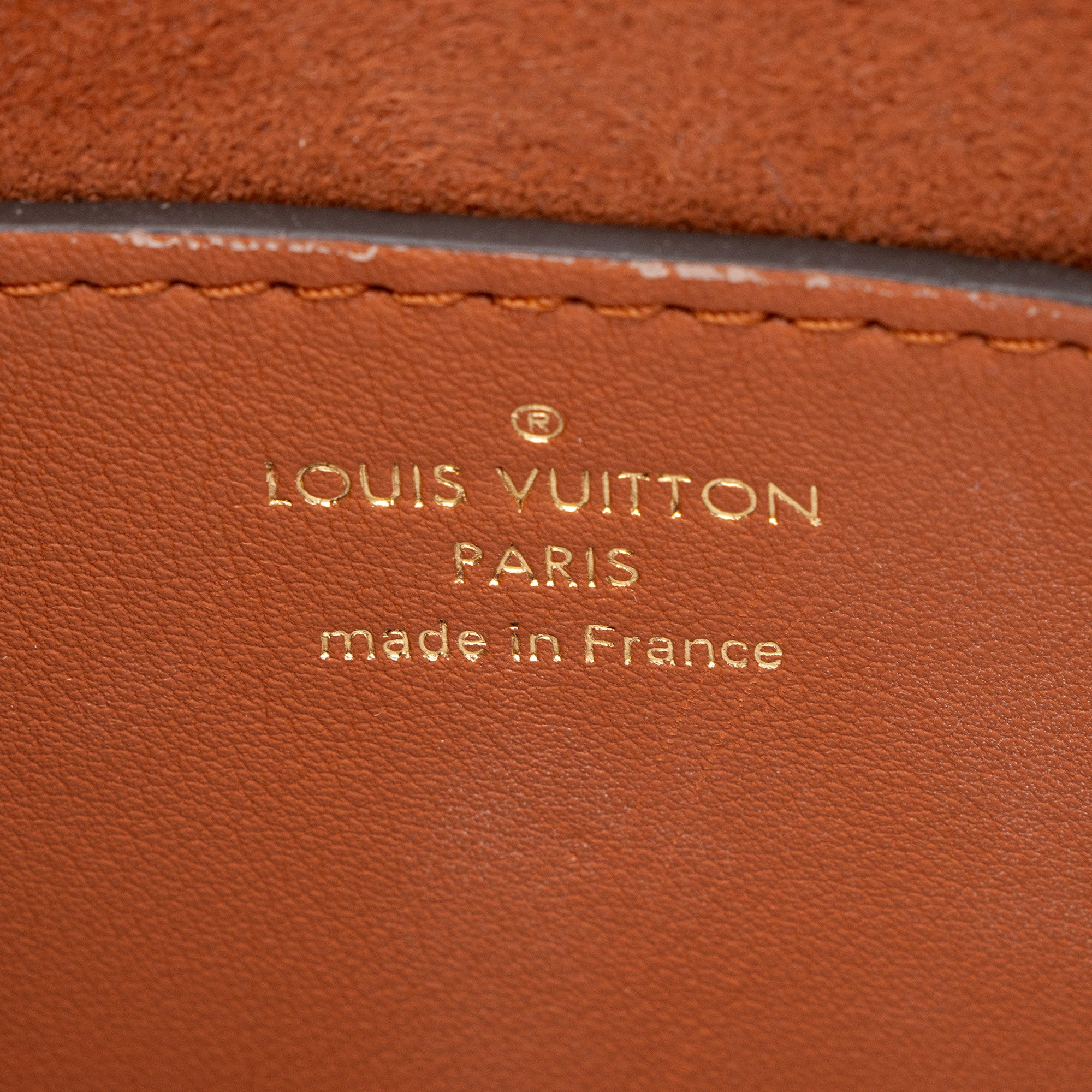 Louis Vuitton Leather Raffia Twist MM Shoulder bag