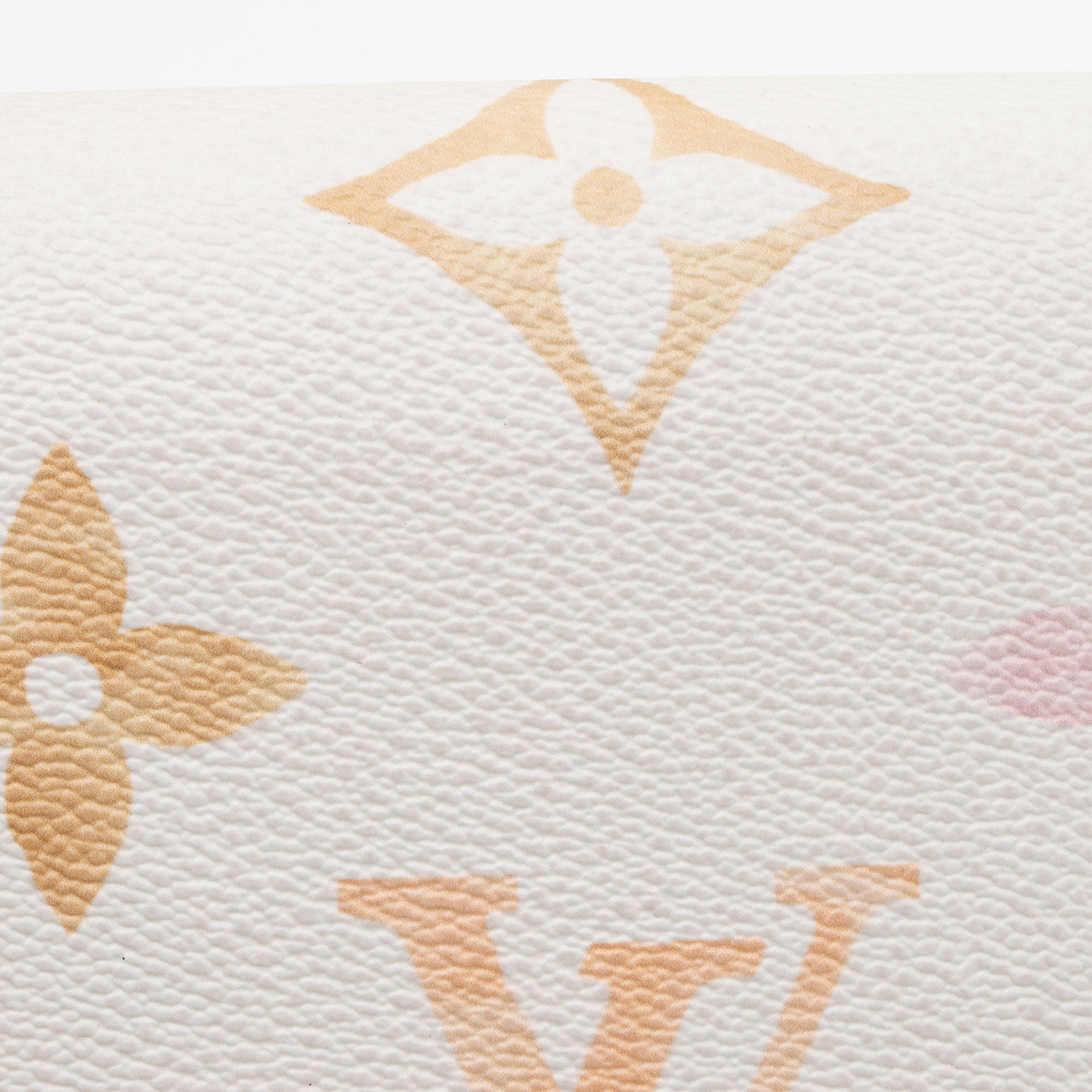 Louis Vuitton Limited Edition Giant Monogram Resort Felicie Pochette