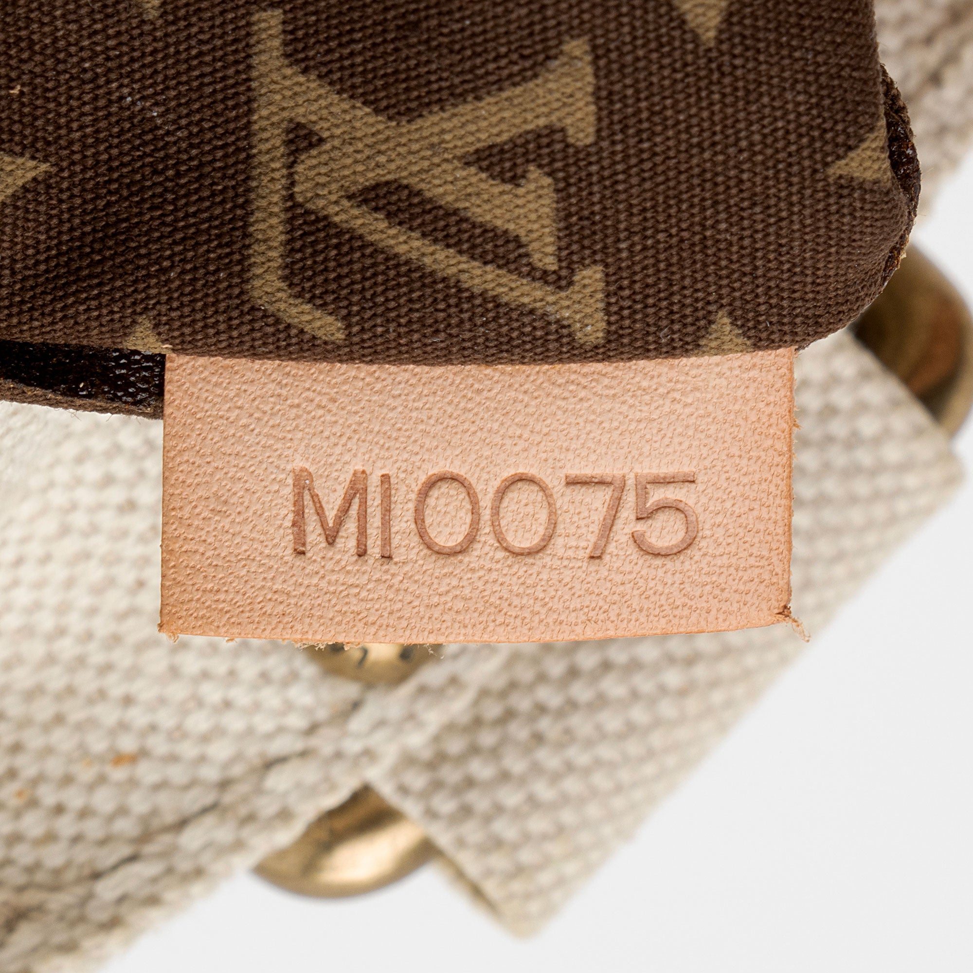 Louis Vuitton Limited Edition Globe Trotter Cabas PM Tote (SHF-gNjlII)