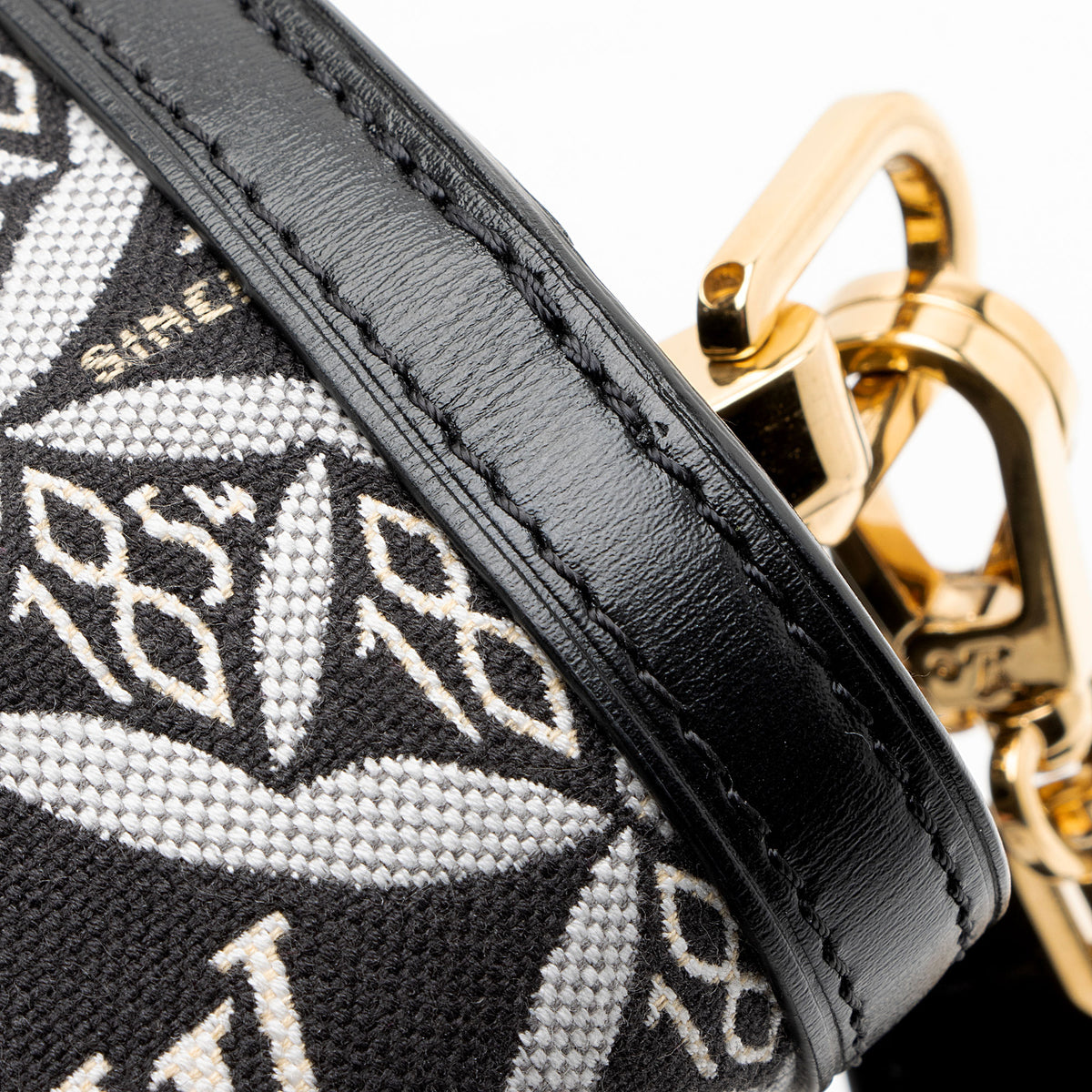 Louis Vuitton Limited Edition Jacquard Since 1854 Dauphine MM Shoulder Bag