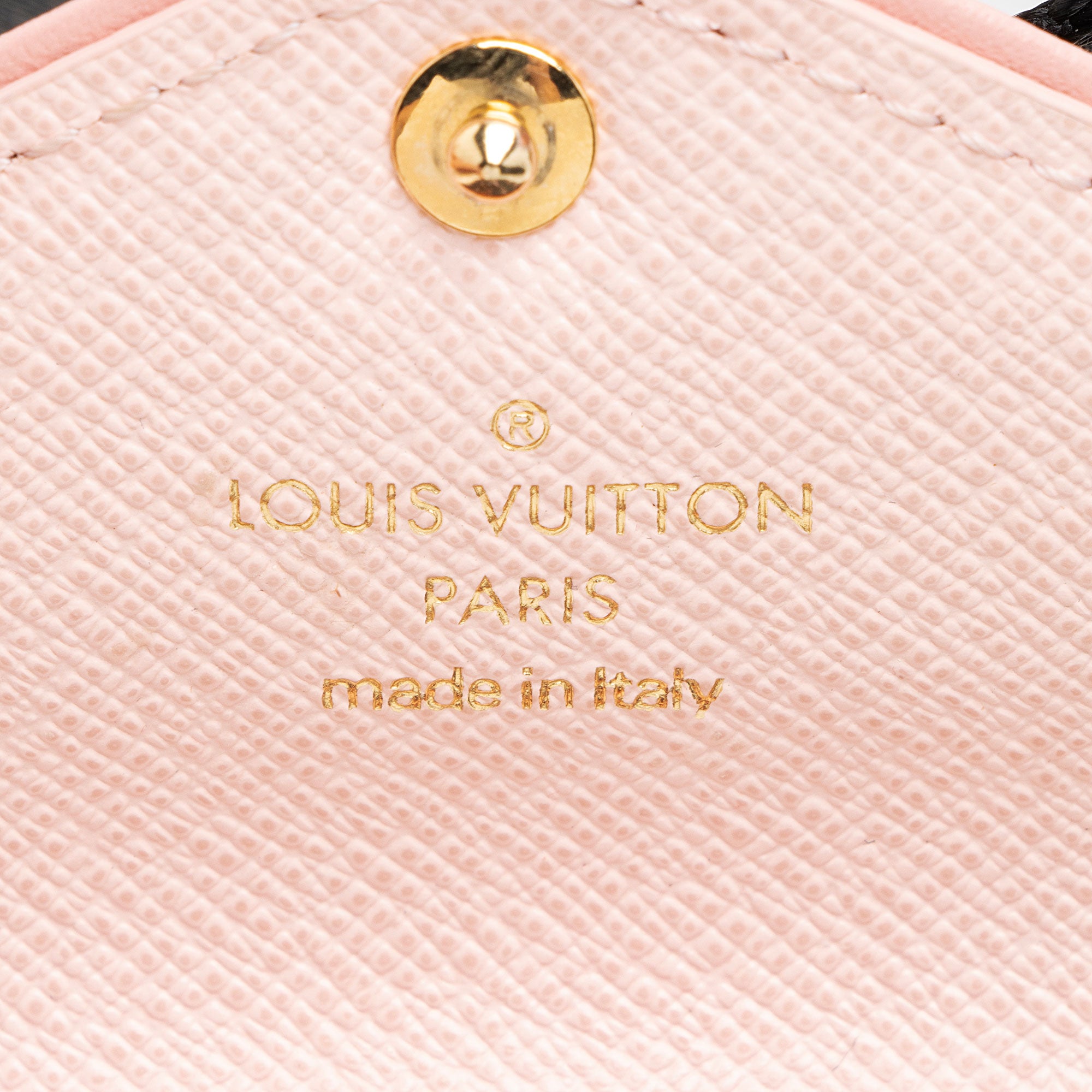 Louis Vuitton Limited Edition Monogram Canvas Fall For You Felicie Strap & Go