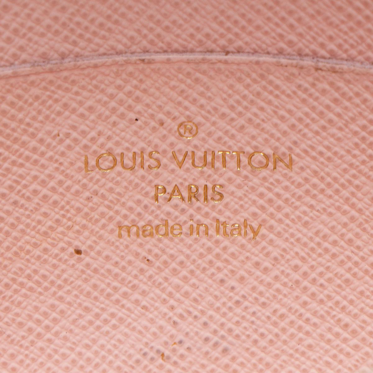 Louis Vuitton Limited Edition Monogram Canvas Fall For You Felicie Strap & Go