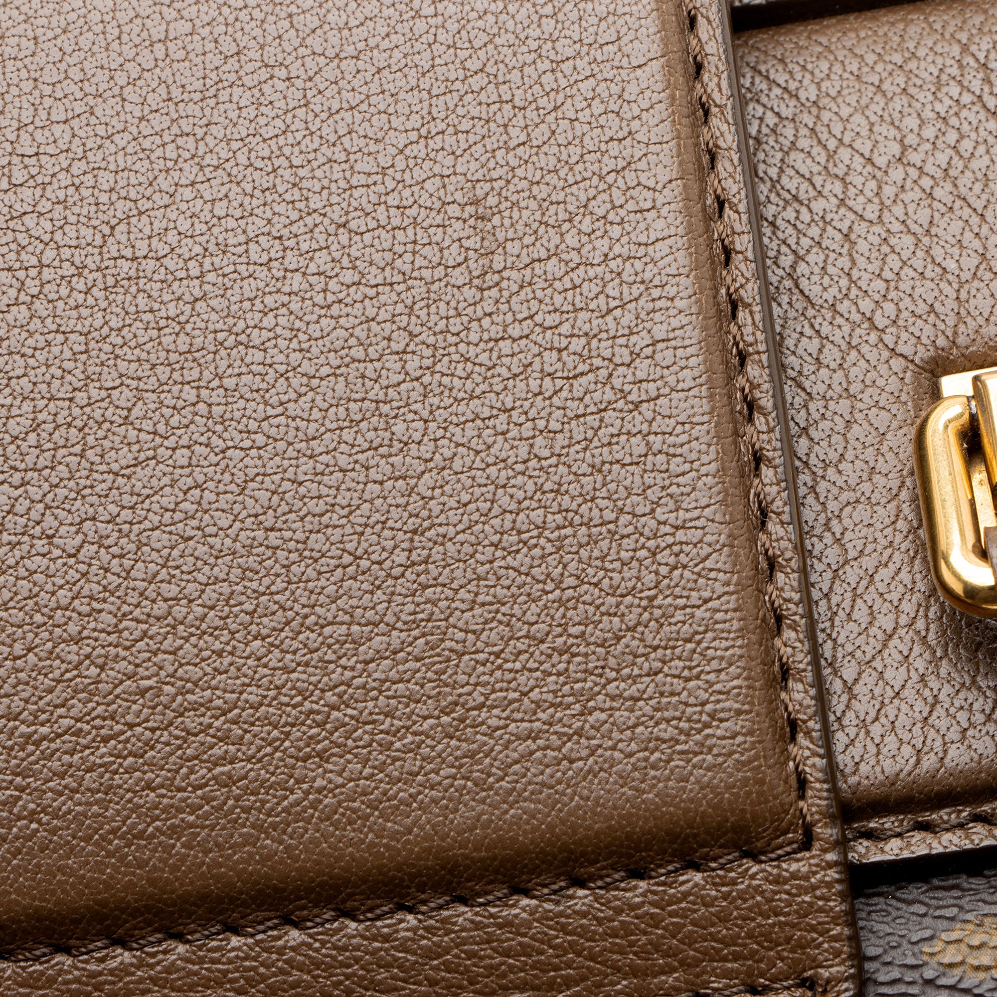 Louis Vuitton Limited Edition Monogram Canvas Golden Arrow Speedy Satchel