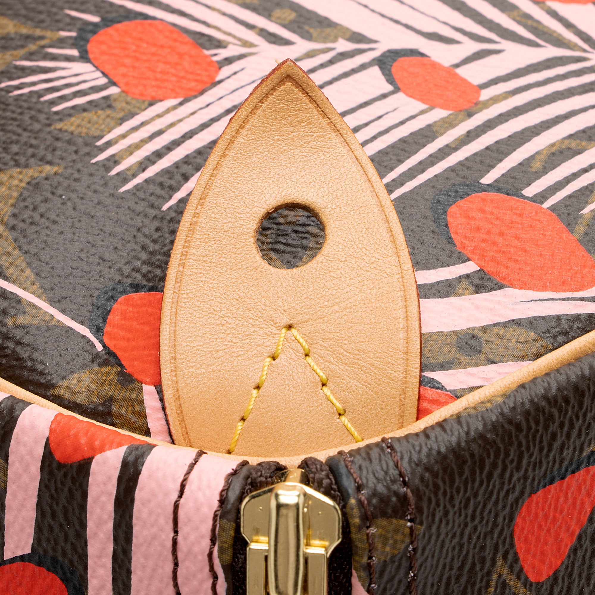 Louis Vuitton Limited Edition Monogram Canvas Jungle Dots Speedy 30 Satchel