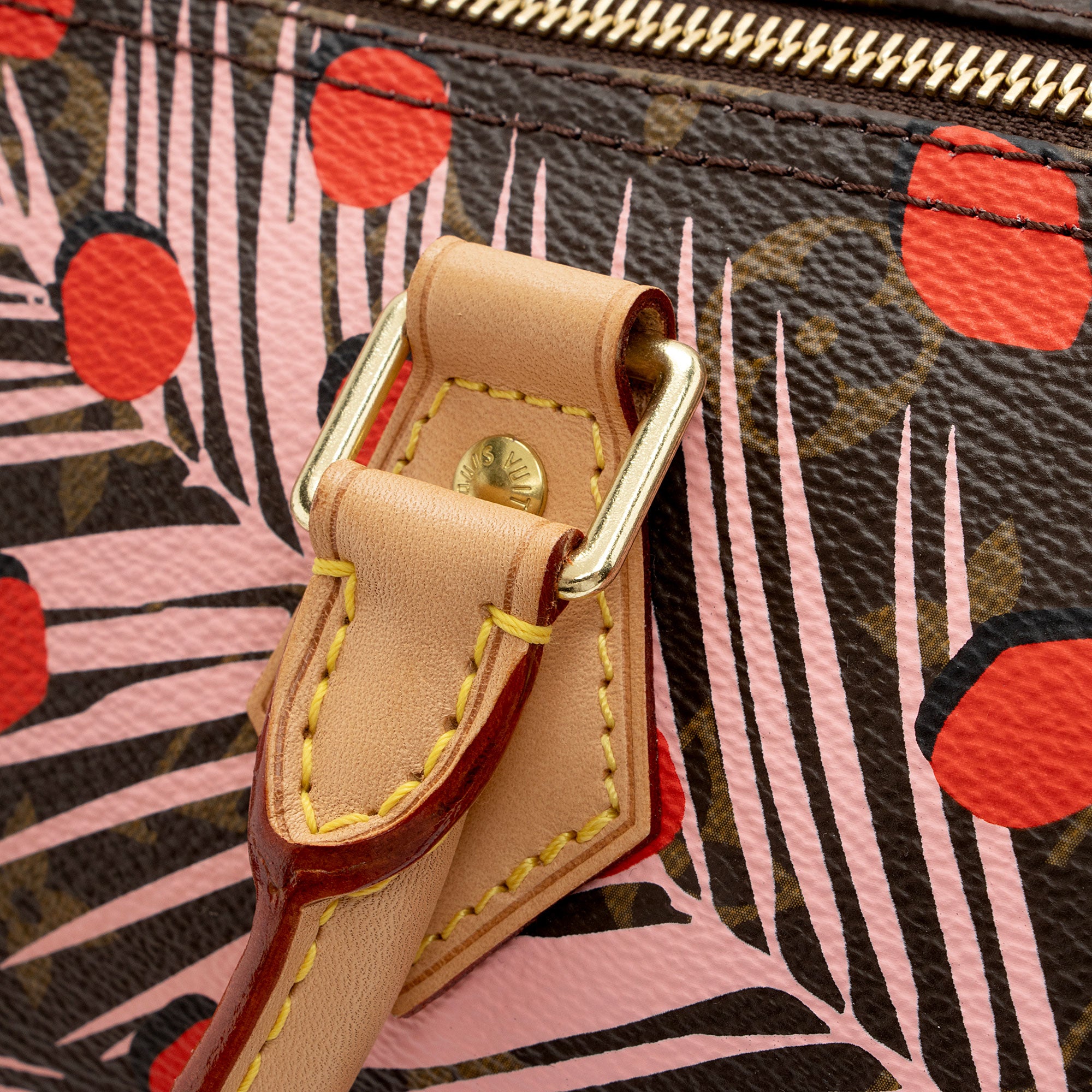 Louis Vuitton Limited Edition Monogram Canvas Jungle Dots Speedy 30 Satchel