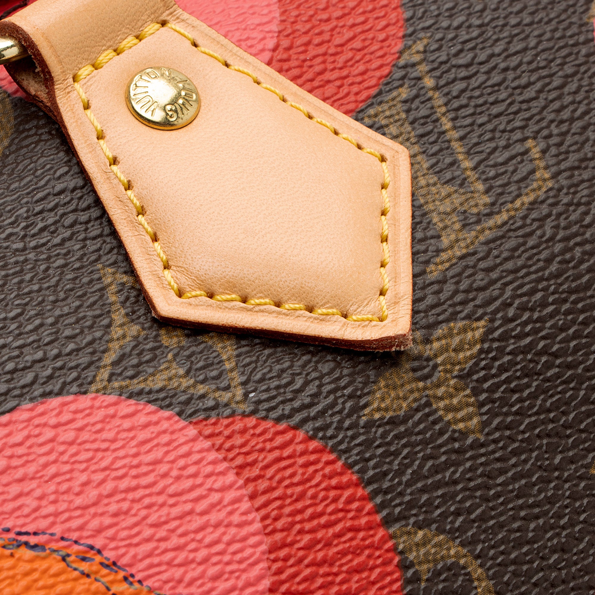 Louis Vuitton Limited Edition Monogram Canvas Ramages Speedy 30 Satchel (SHF-IZ2sCS)