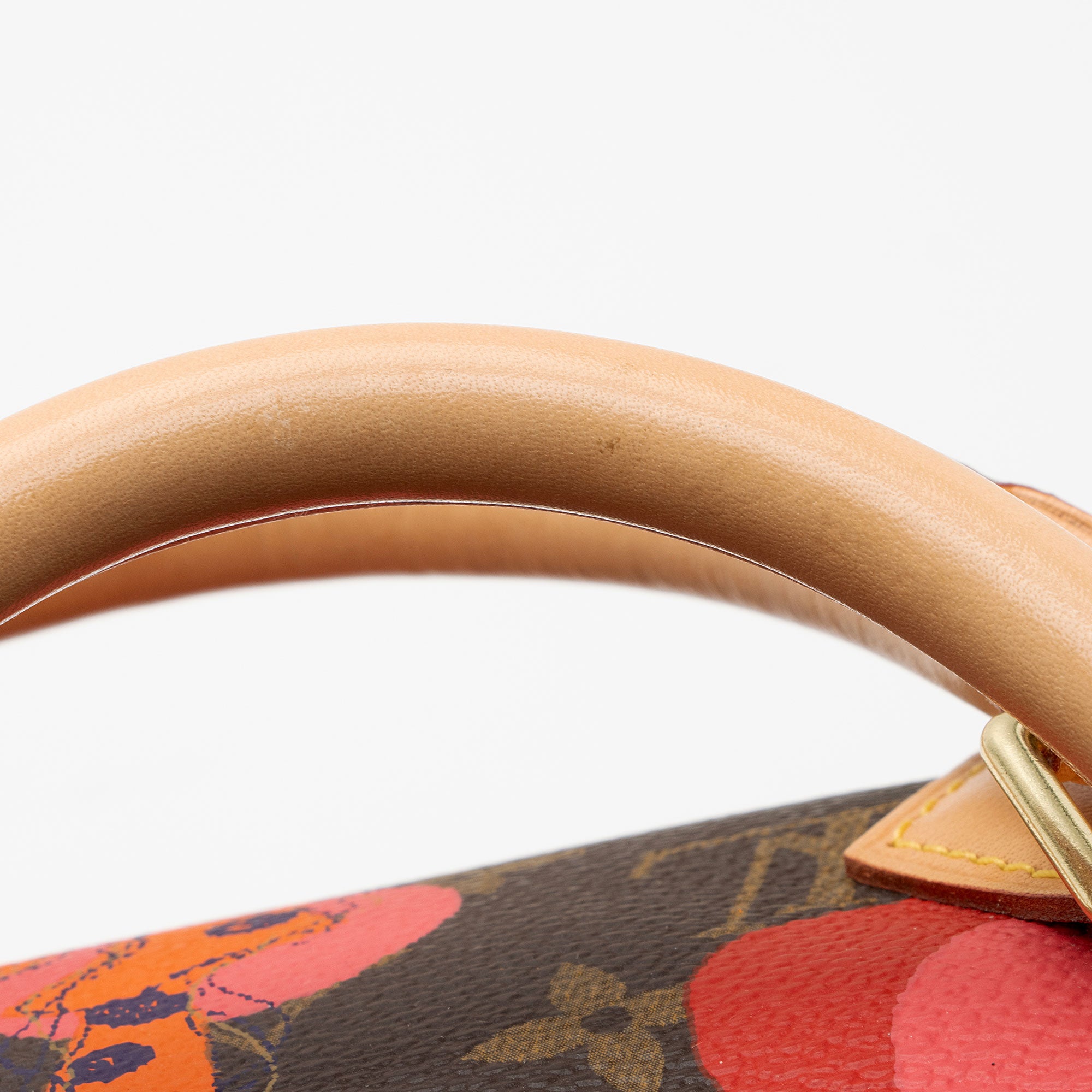 Louis Vuitton Limited Edition Monogram Canvas Ramages Speedy 30 Satchel (SHF-IZ2sCS)