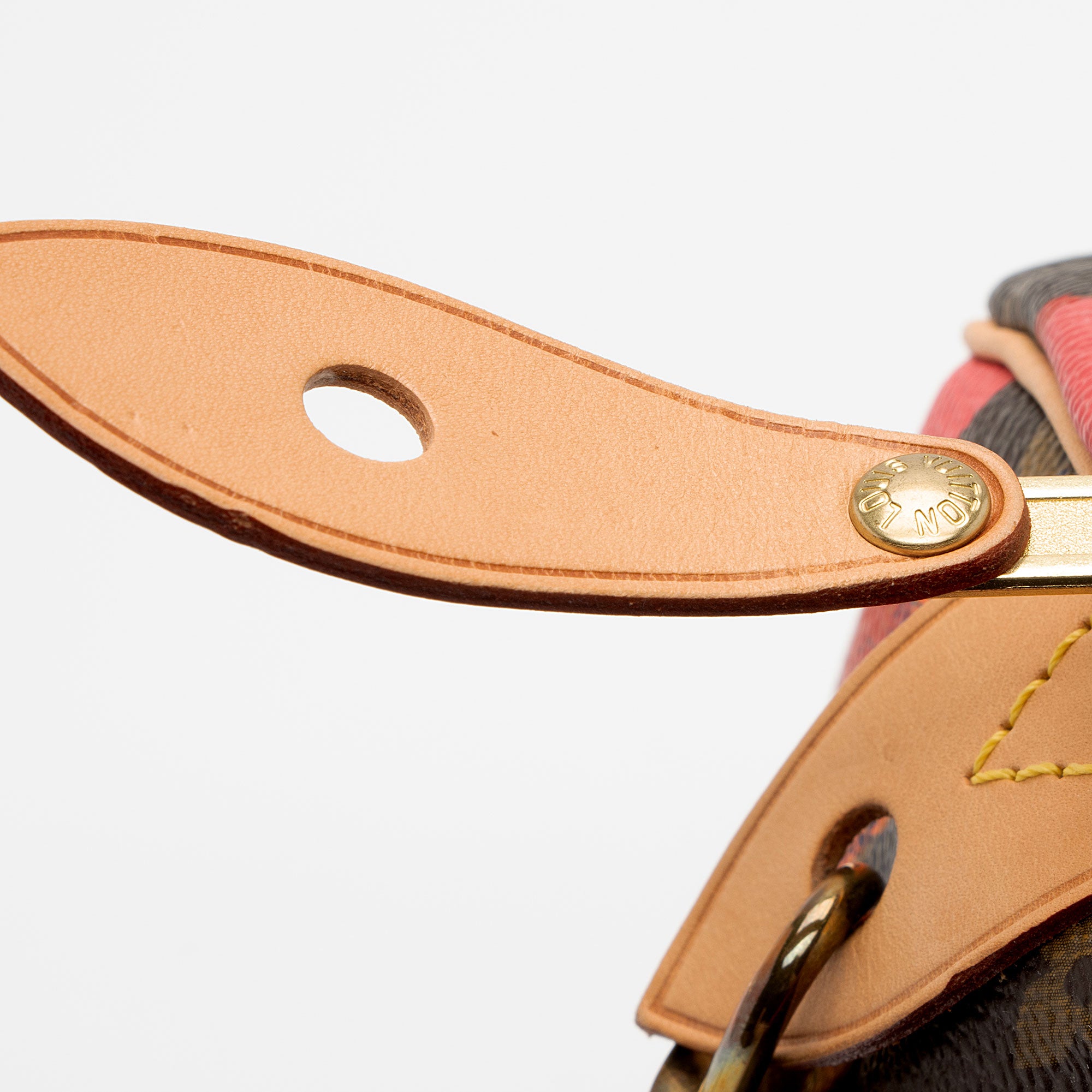 Louis Vuitton Limited Edition Monogram Canvas Ramages Speedy 30 Satchel (SHF-IZ2sCS)