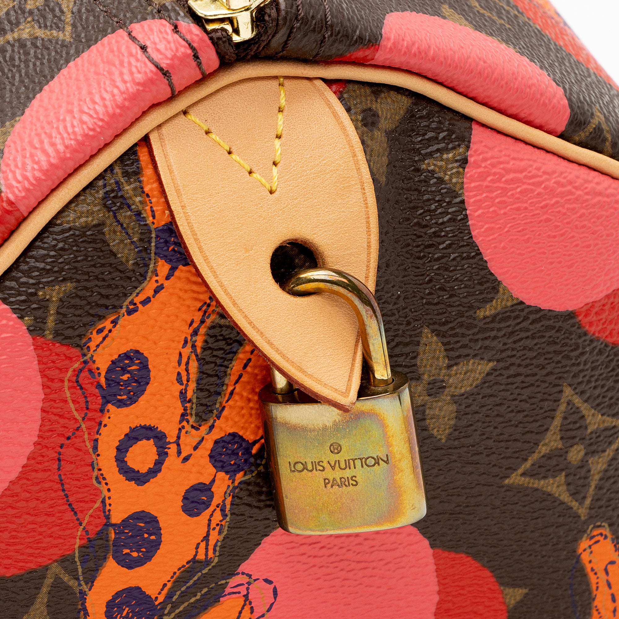 Louis Vuitton Limited Edition Monogram Canvas Ramages Speedy 30 Satchel (SHF-IZ2sCS)