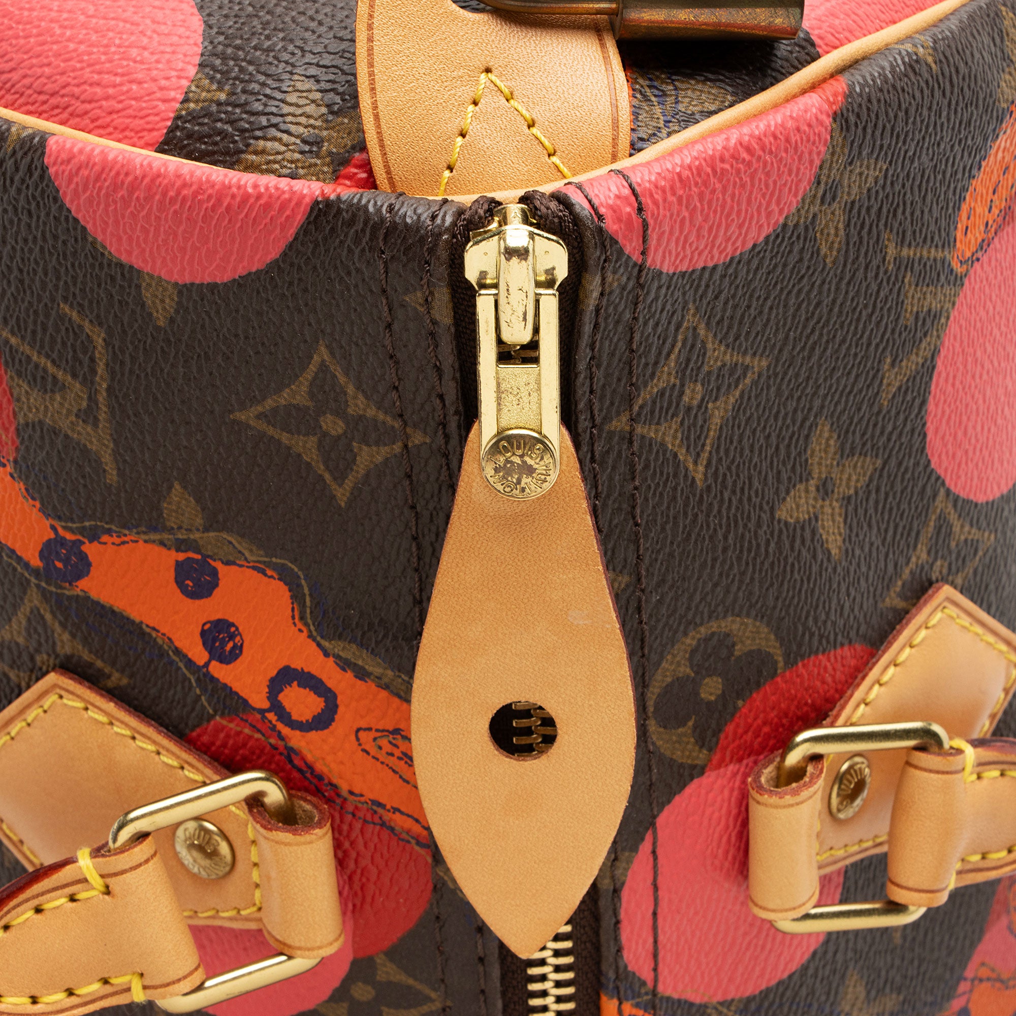 Louis Vuitton Limited Edition Monogram Canvas Ramages Speedy 30 Satchel