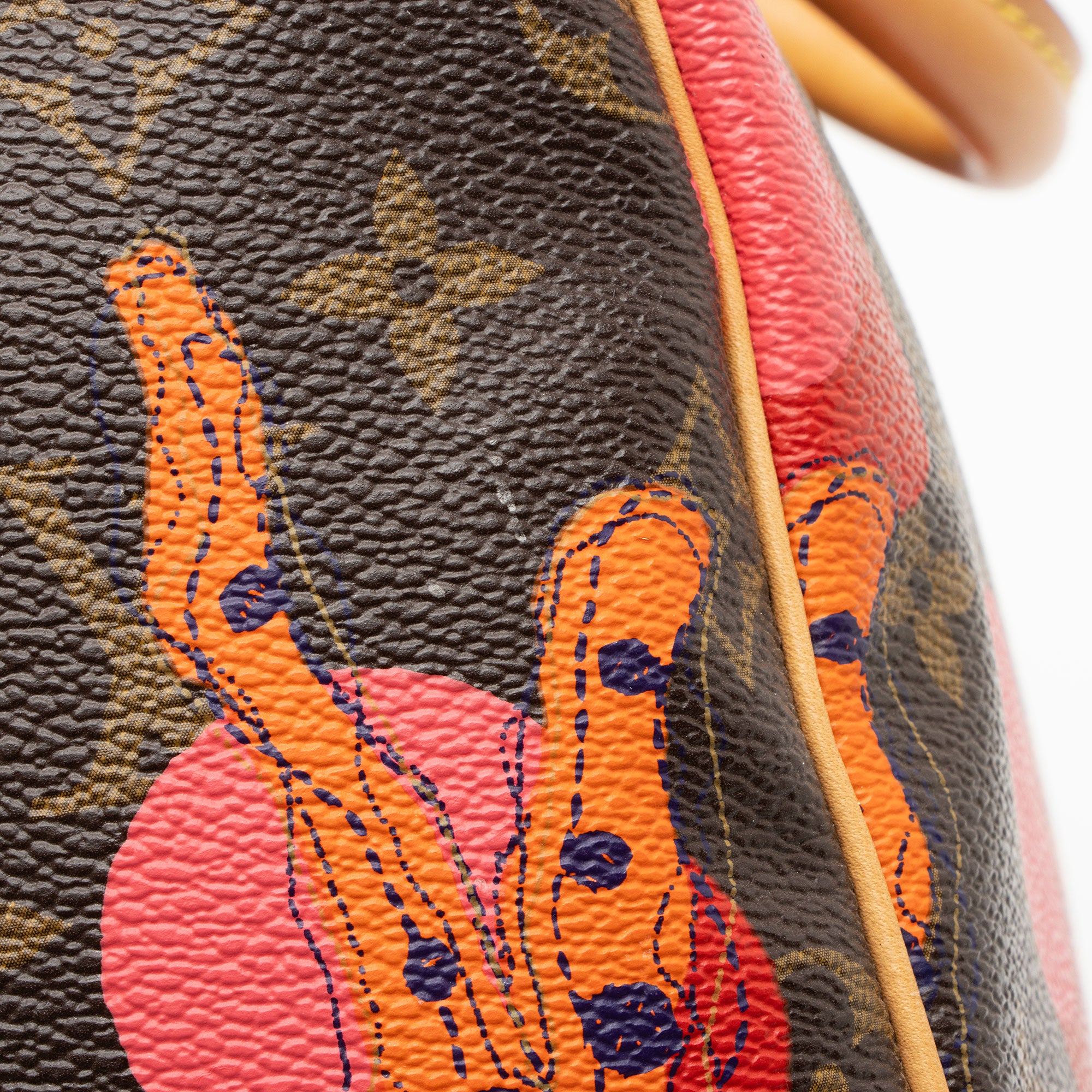 Louis Vuitton Limited Edition Monogram Canvas Ramages Speedy 30 Satchel