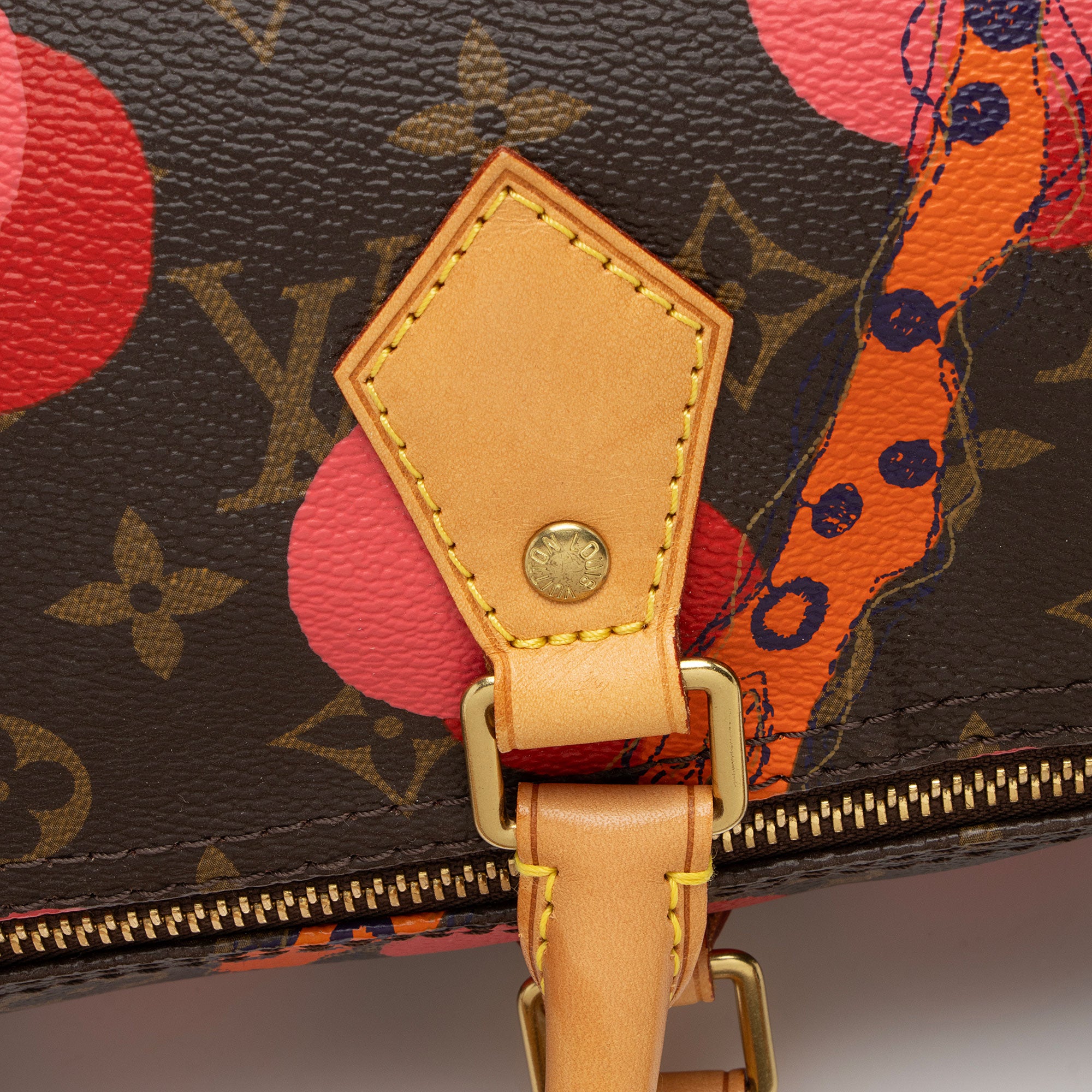 Louis Vuitton Limited Edition Monogram Canvas Ramages Speedy 30 Satchel